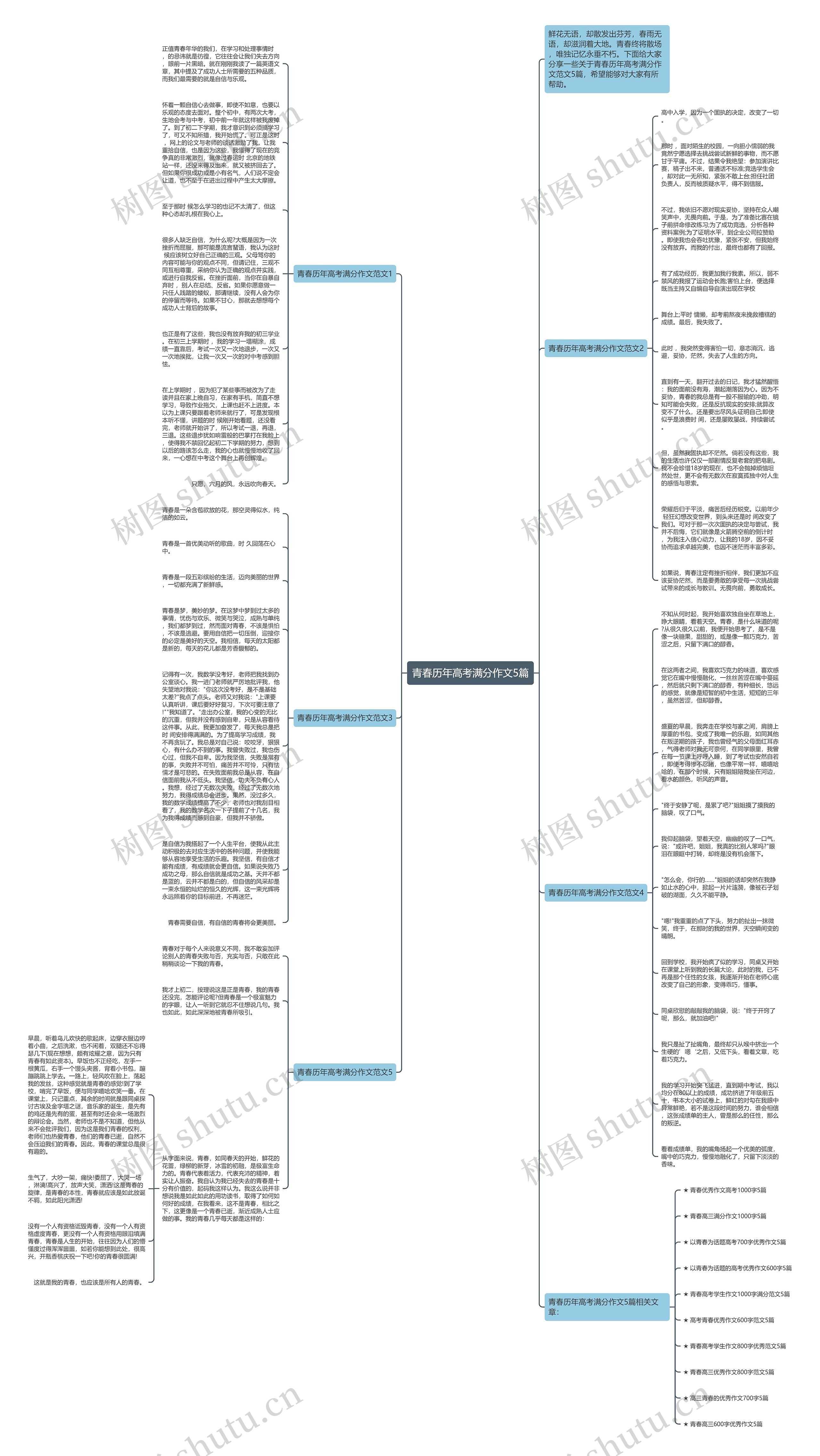 青春历年高考满分作文5篇思维导图