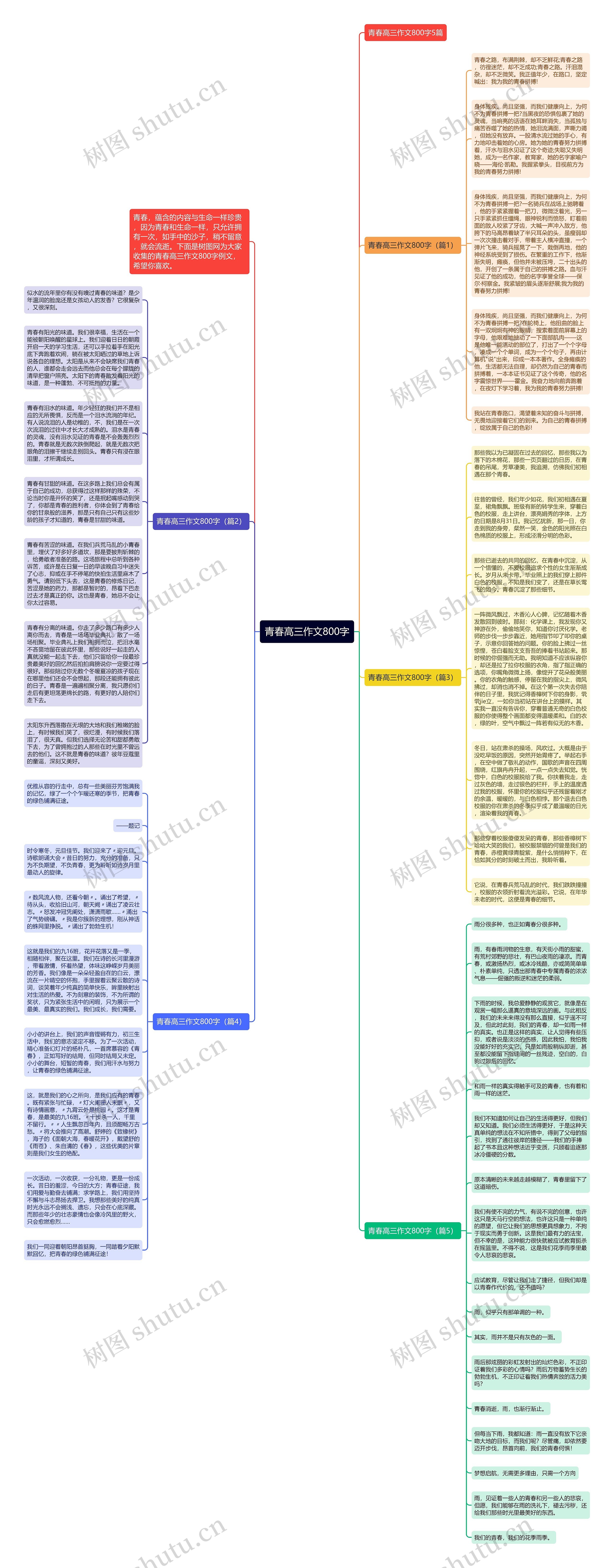 青春高三作文800字思维导图