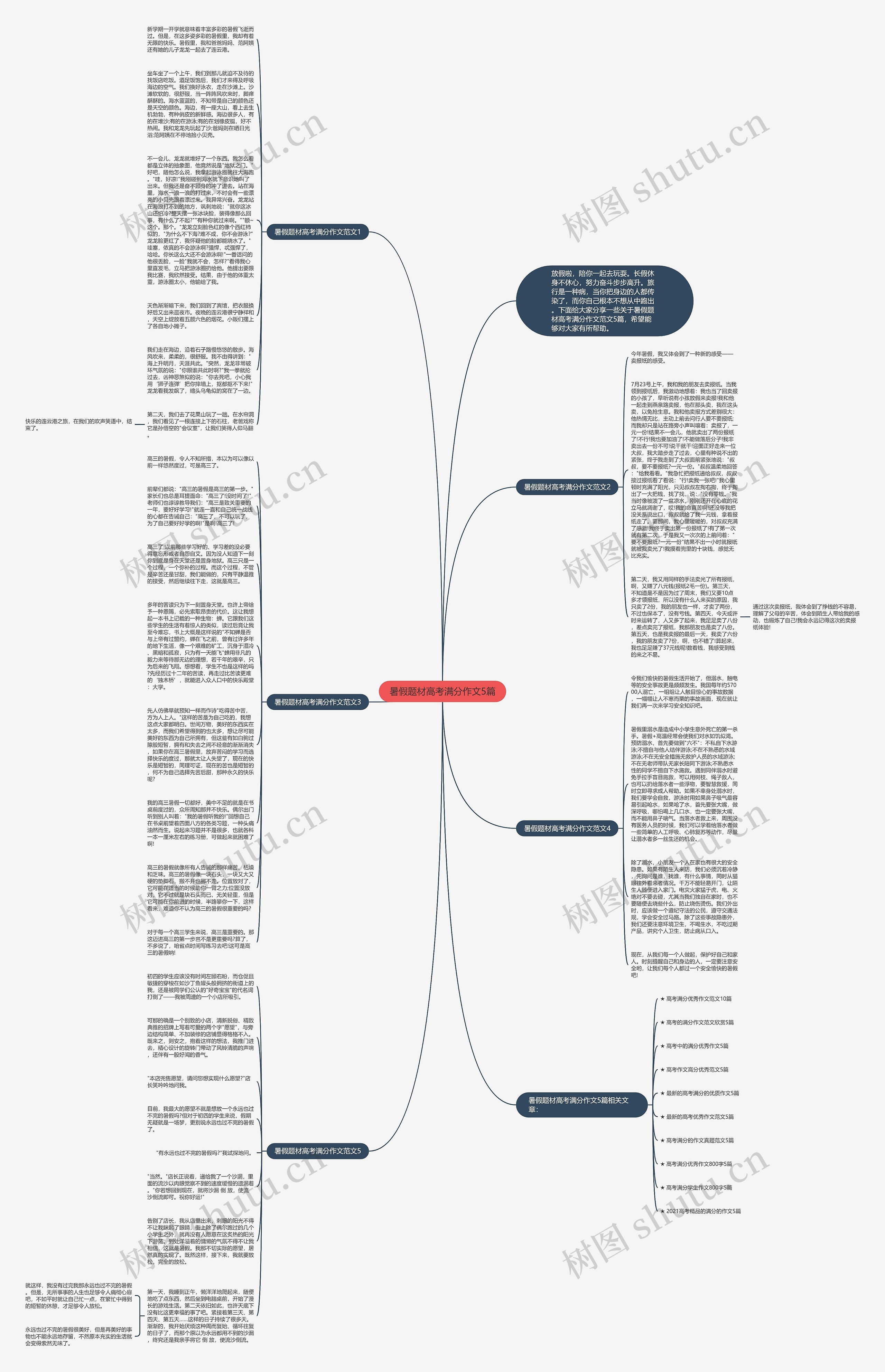 暑假题材高考满分作文5篇思维导图