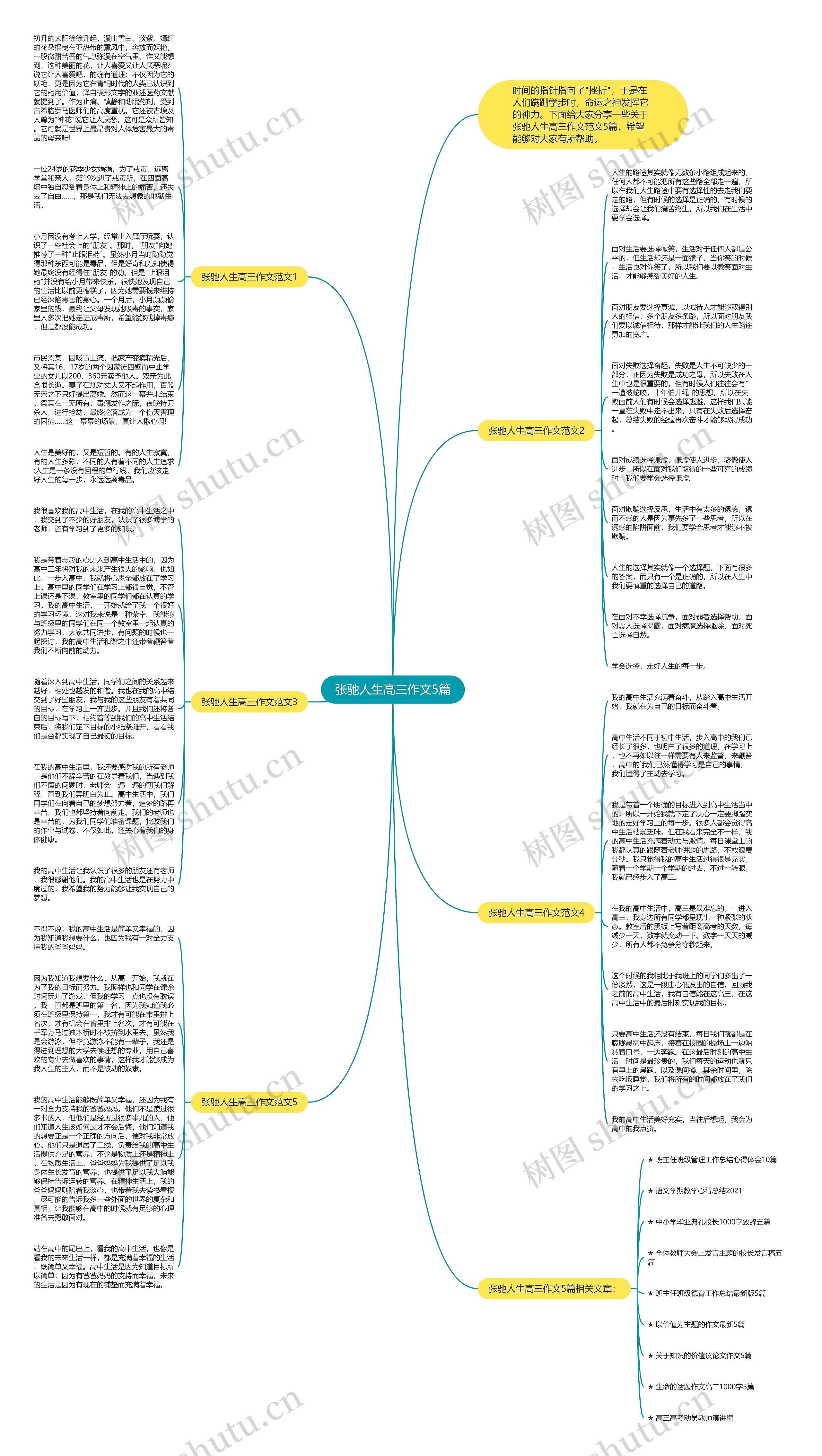 张驰人生高三作文5篇思维导图