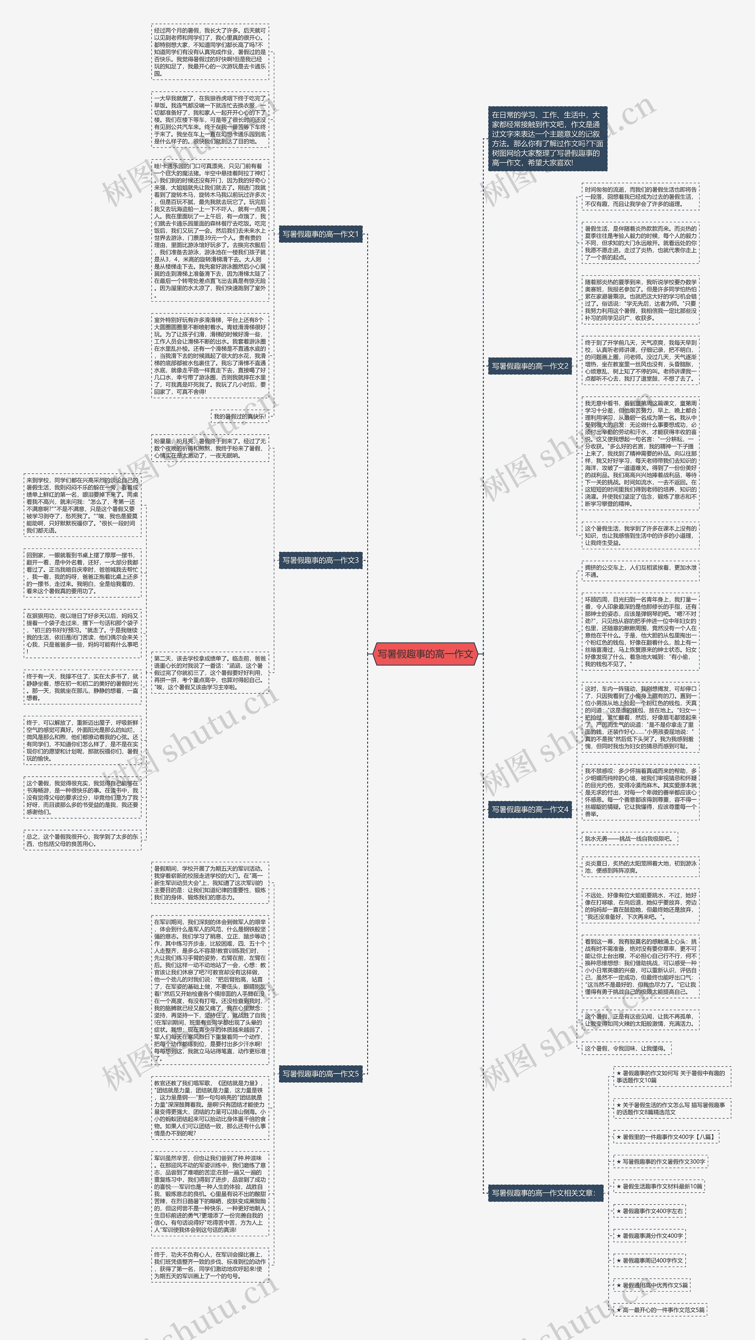 写暑假趣事的高一作文思维导图