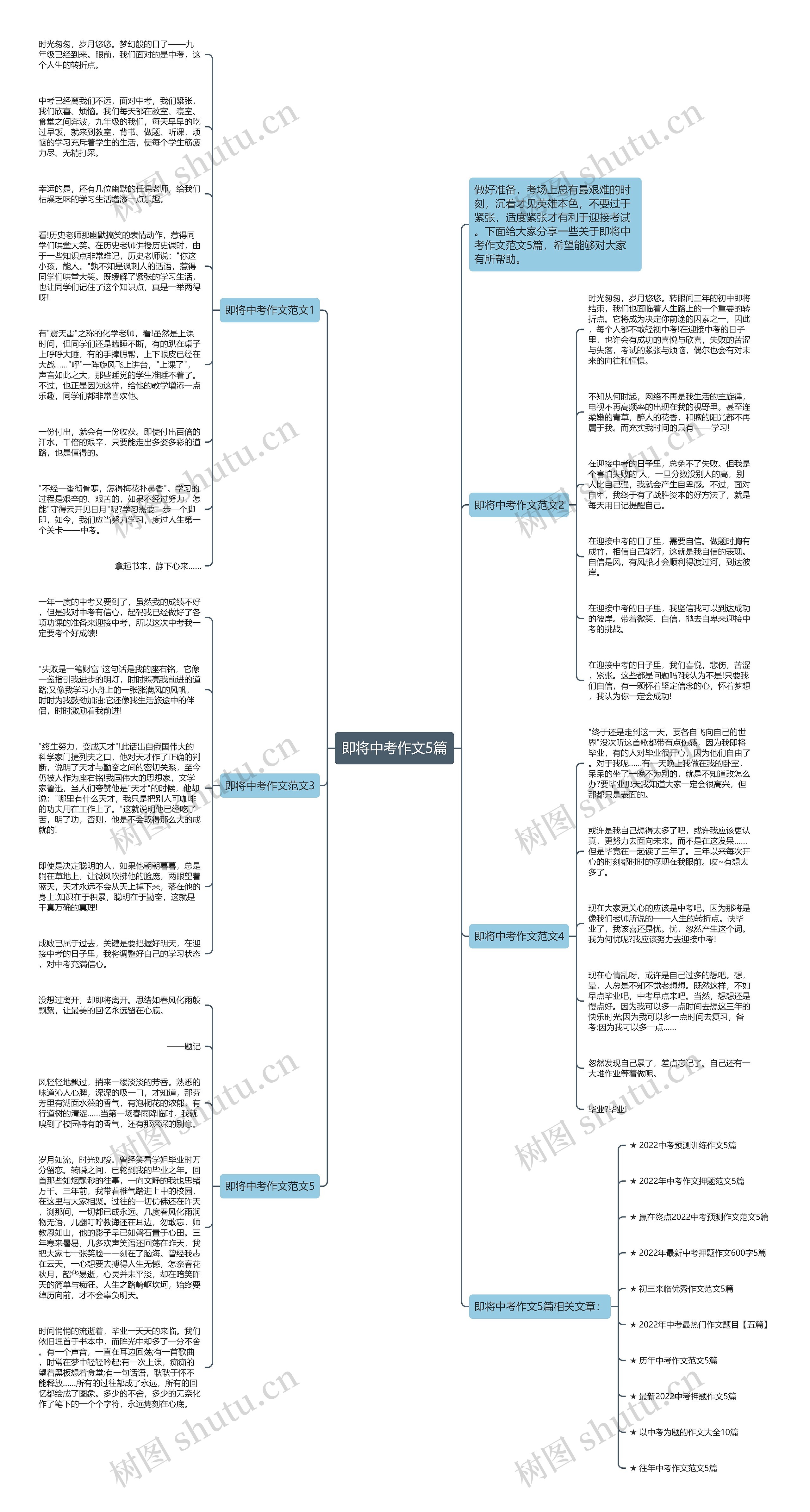 即将中考作文5篇思维导图
