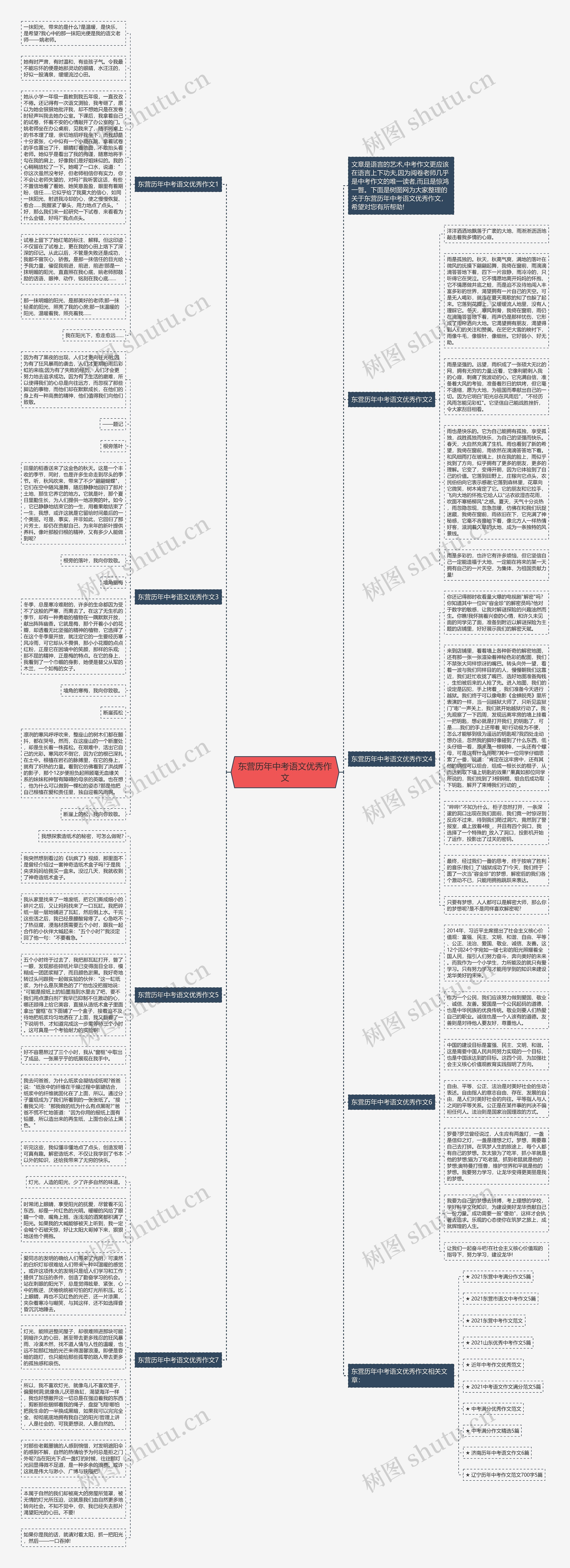 东营历年中考语文优秀作文思维导图