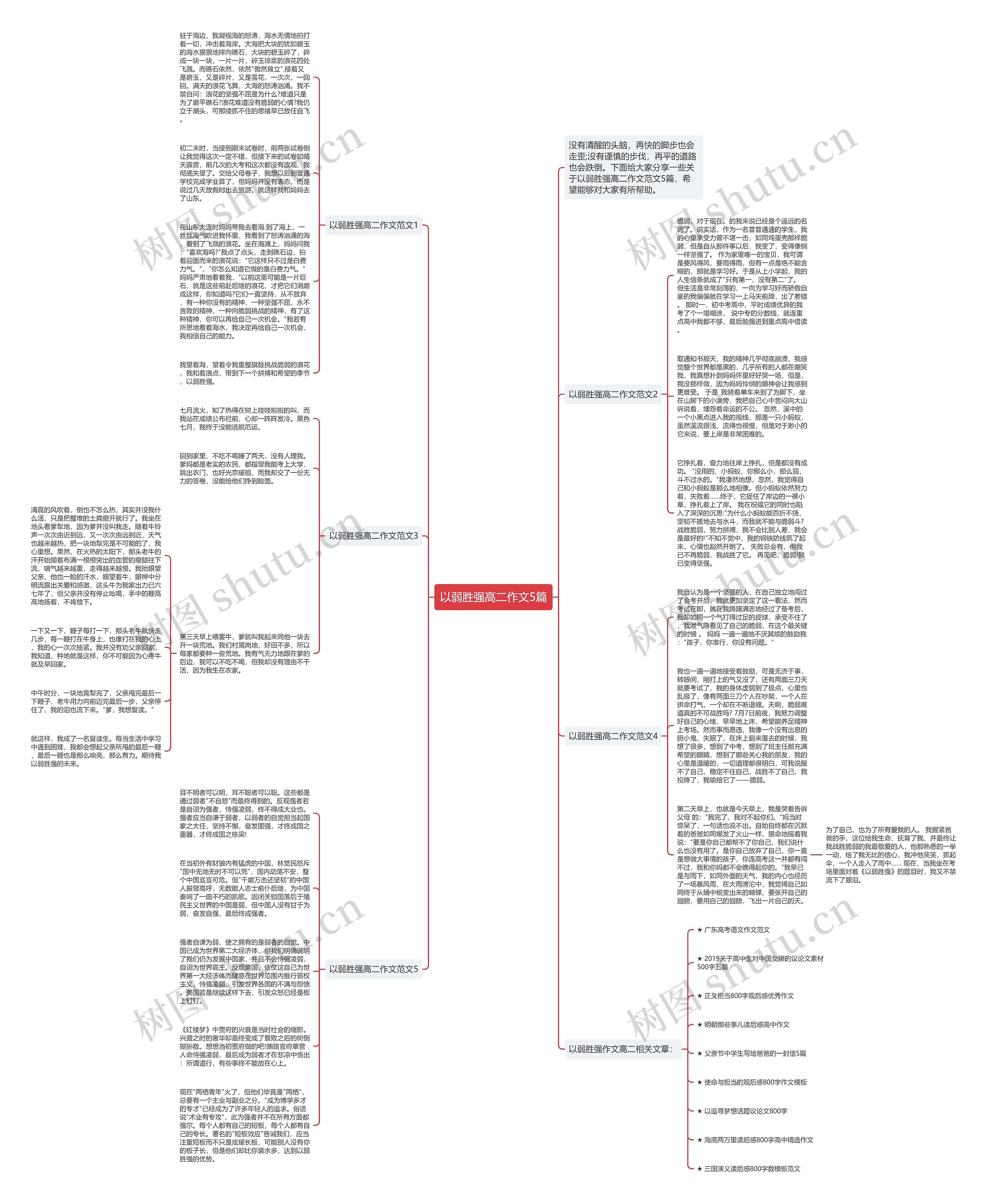 以弱胜强高二作文5篇思维导图