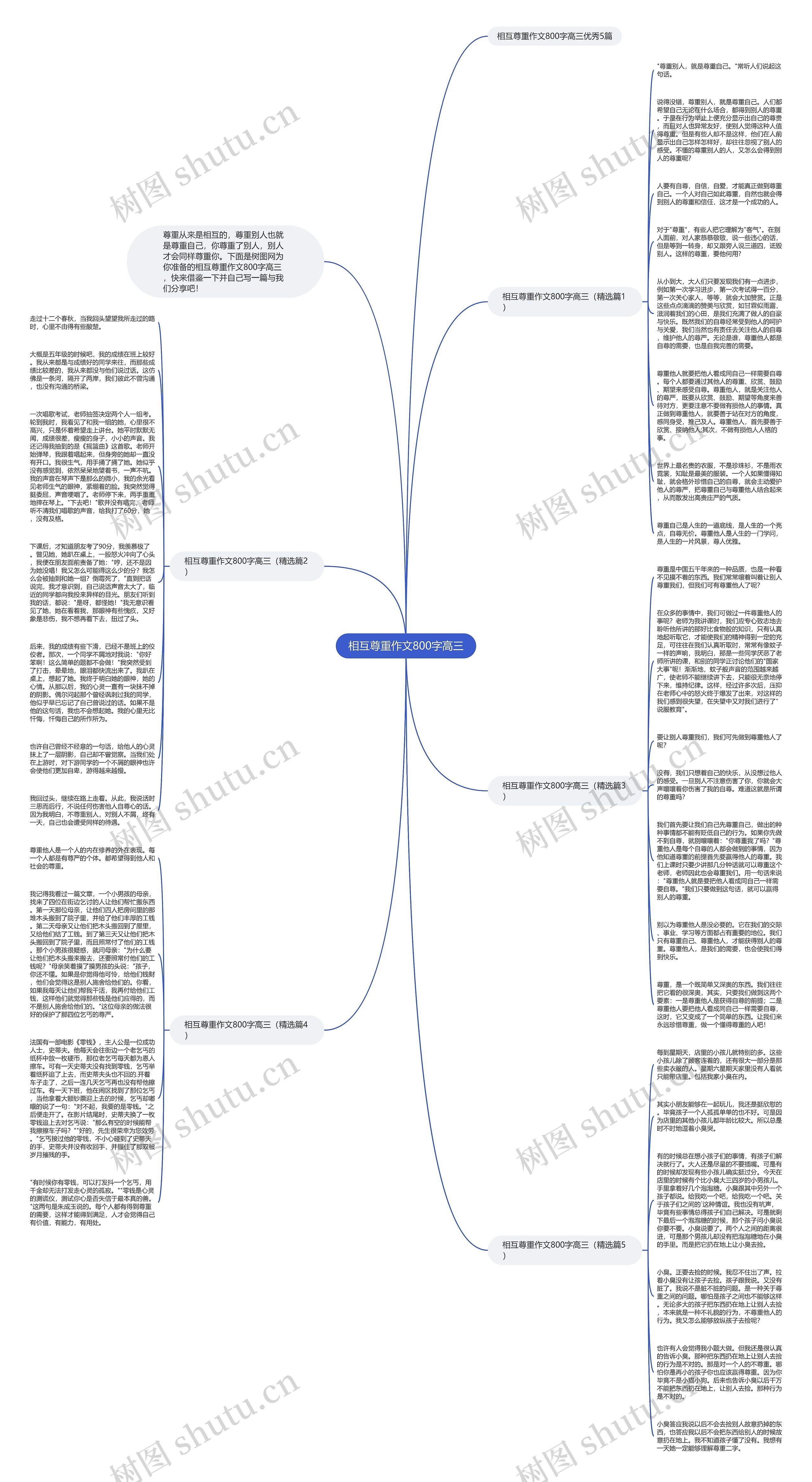相互尊重作文800字高三思维导图