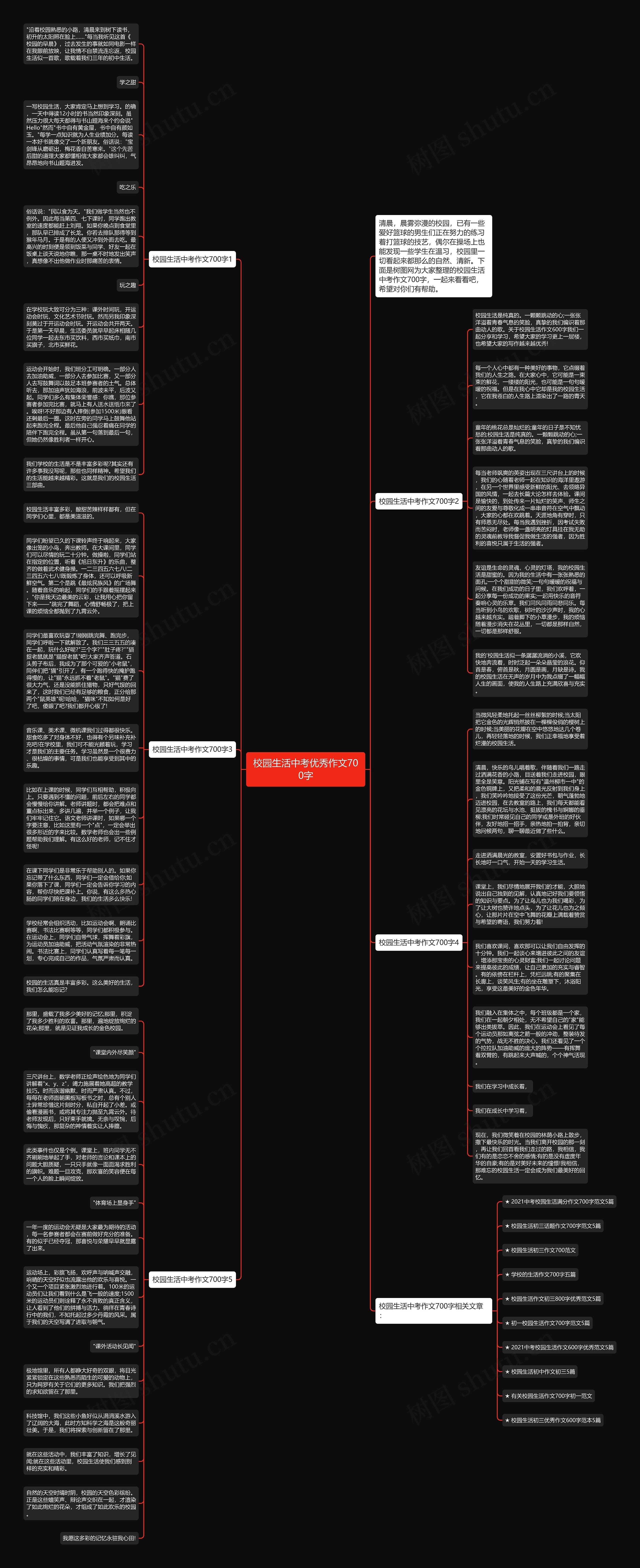 校园生活中考优秀作文700字思维导图