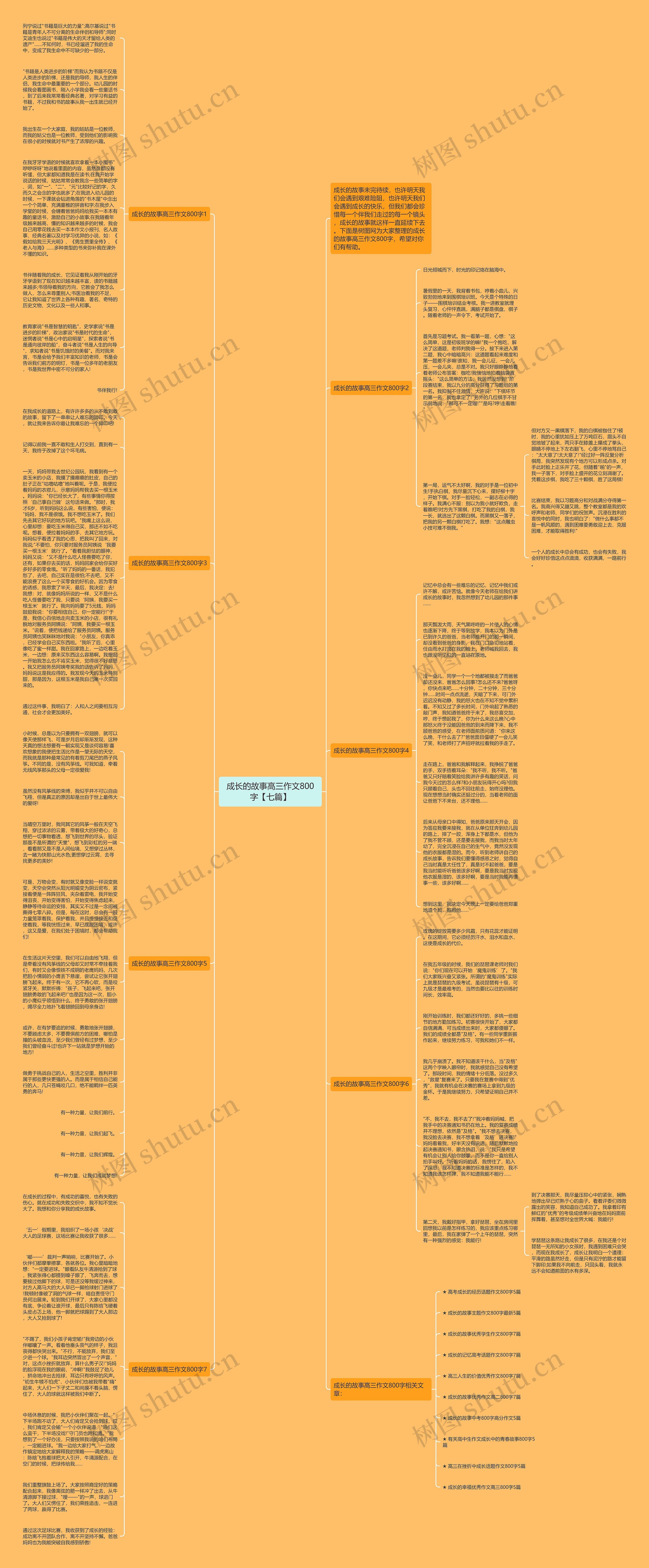 成长的故事高三作文800字【七篇】思维导图