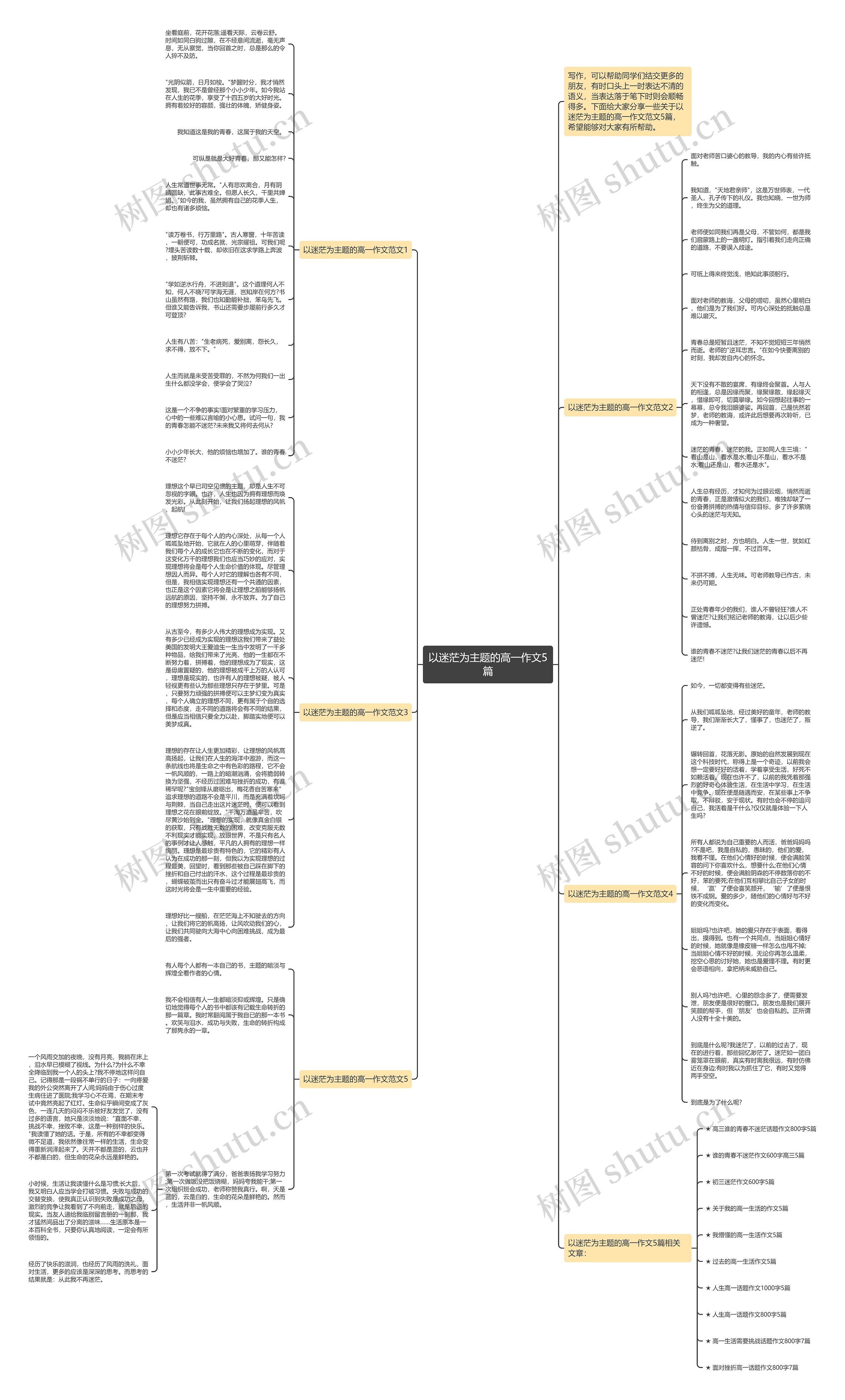 以迷茫为主题的高一作文5篇思维导图