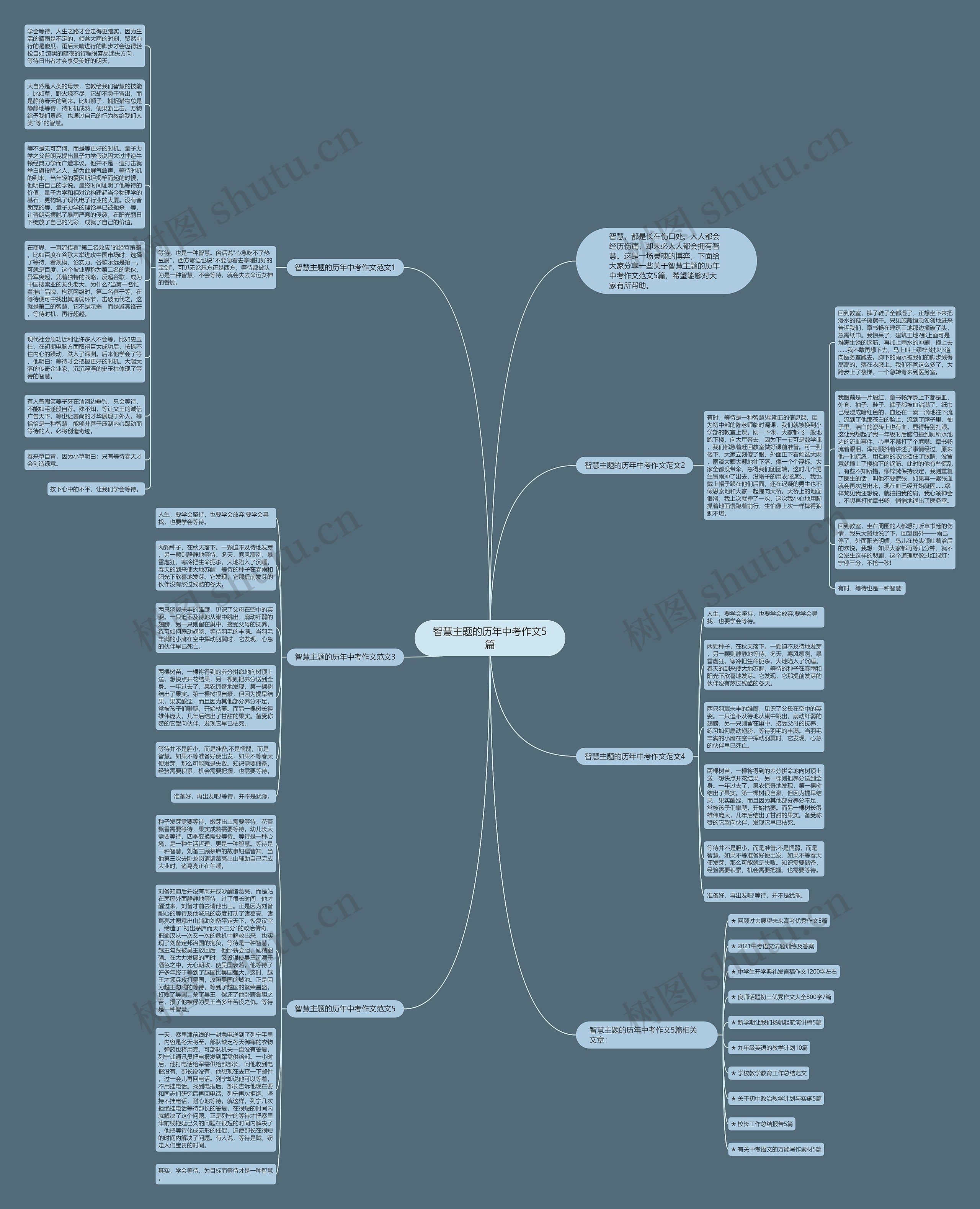 智慧主题的历年中考作文5篇