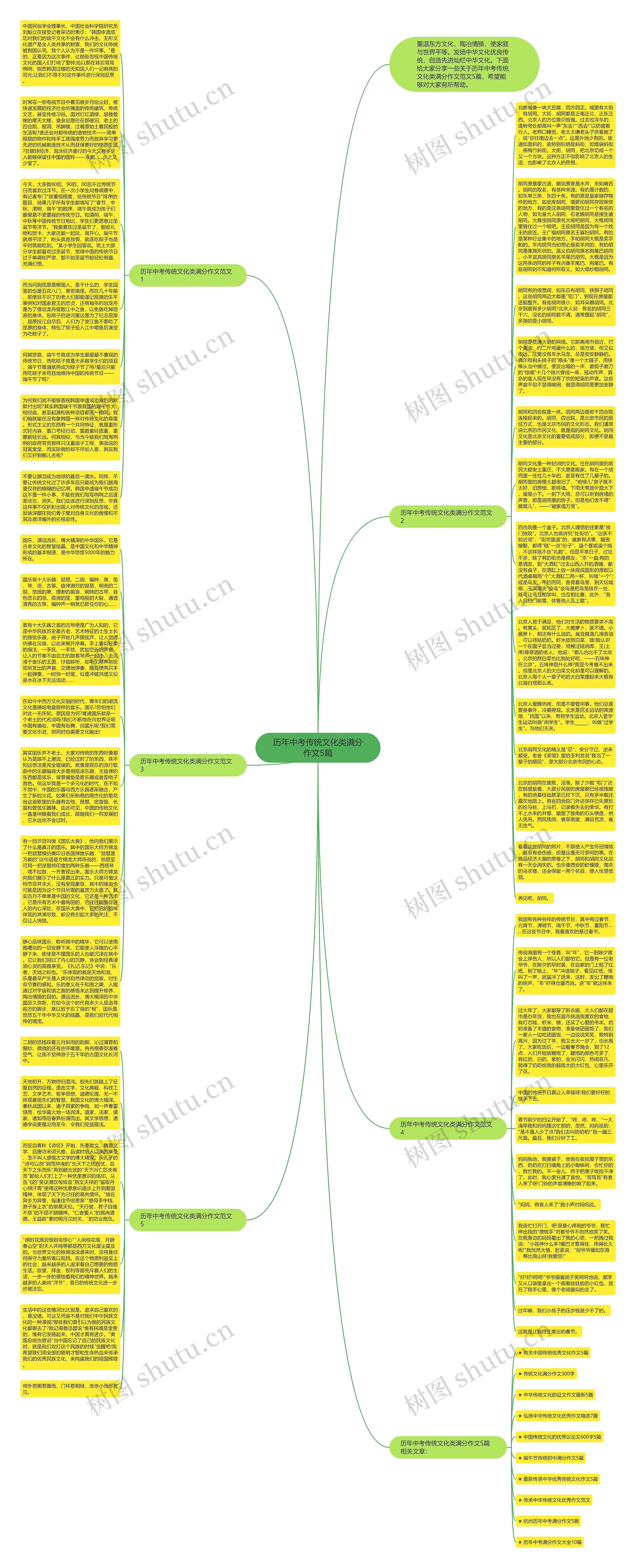 历年中考传统文化类满分作文5篇思维导图