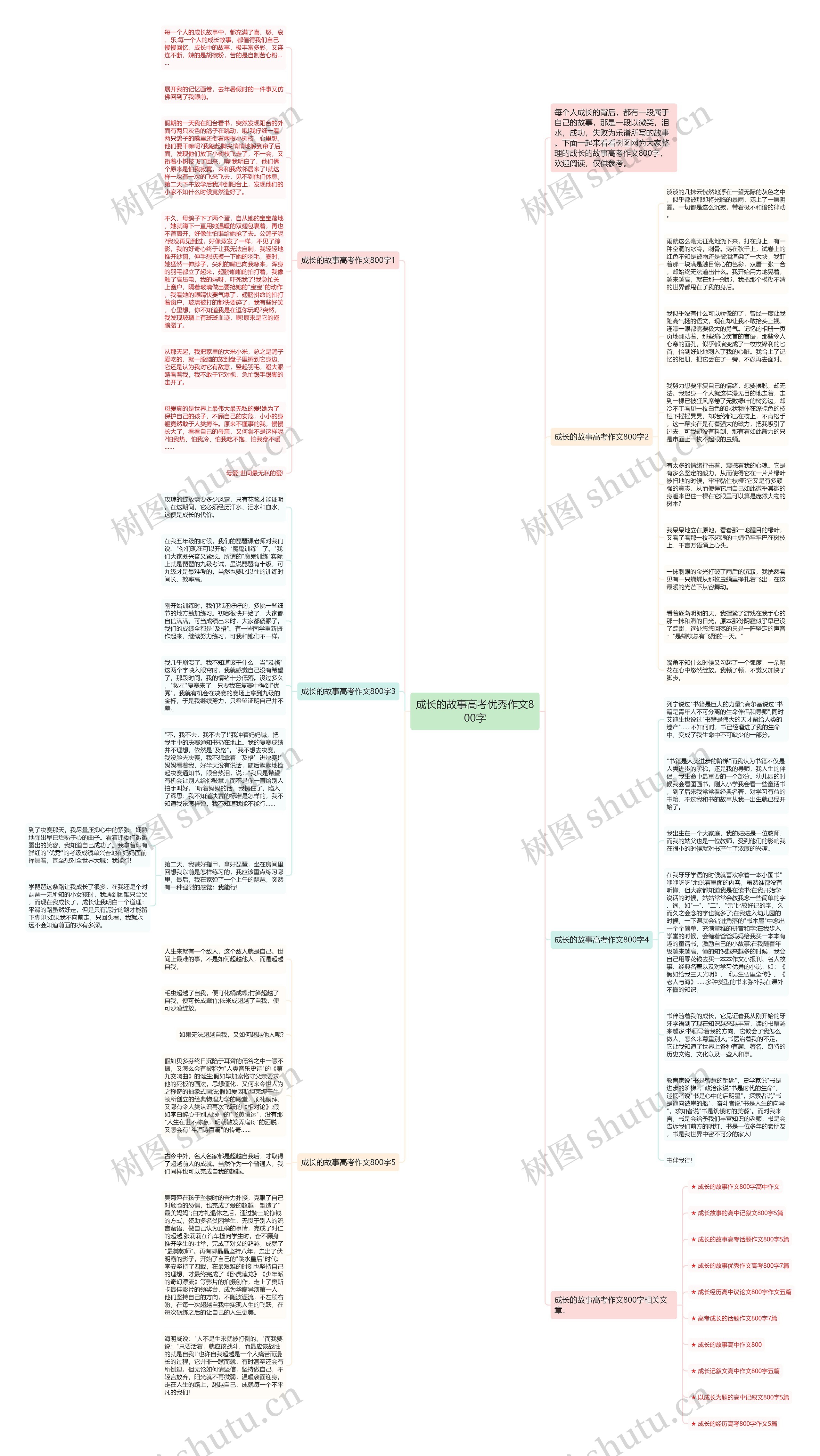 成长的故事高考优秀作文800字