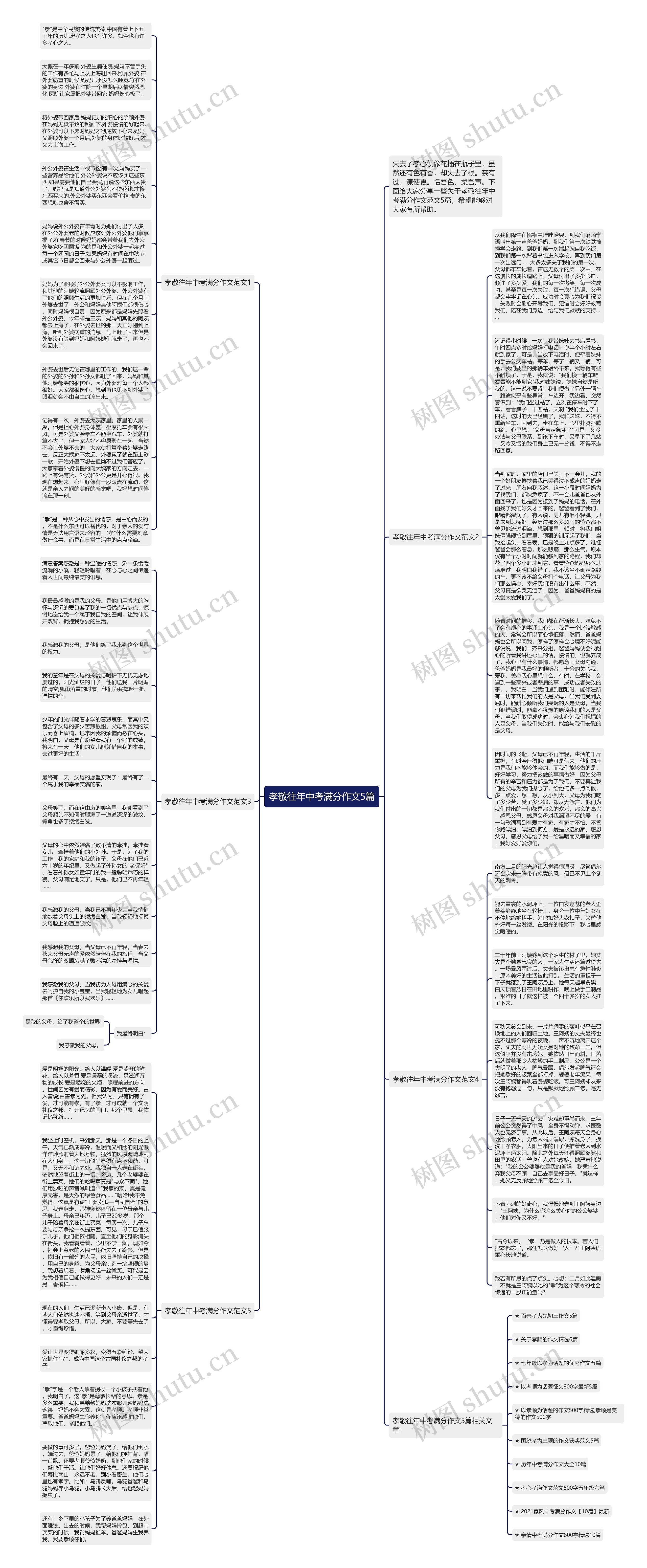 孝敬往年中考满分作文5篇思维导图