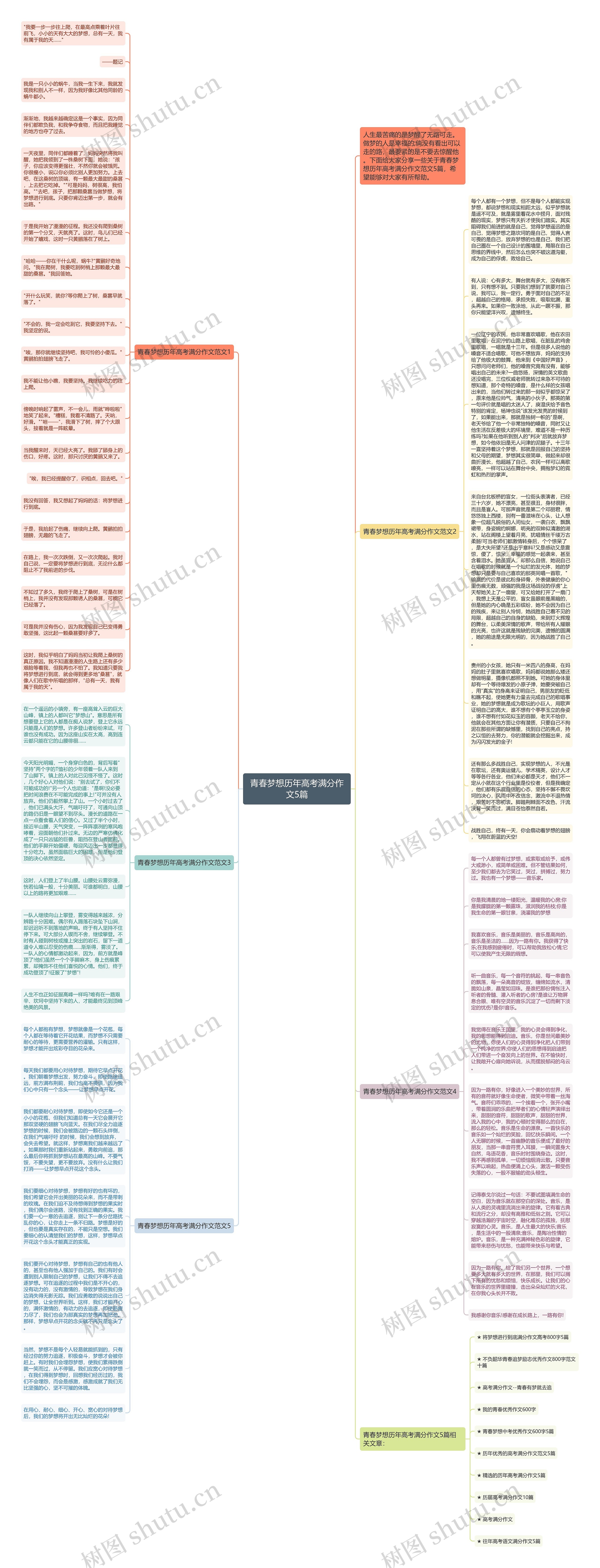 青春梦想历年高考满分作文5篇思维导图