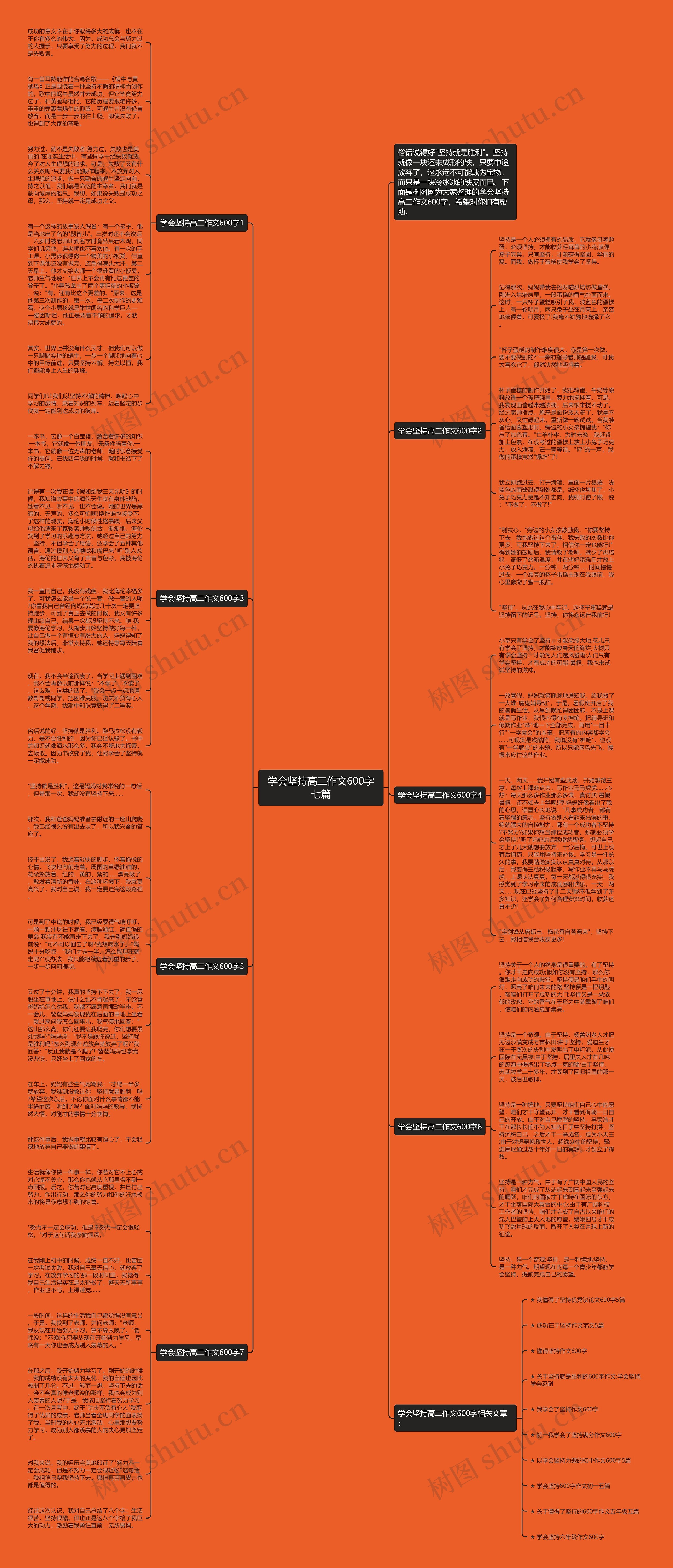 学会坚持高二作文600字七篇思维导图