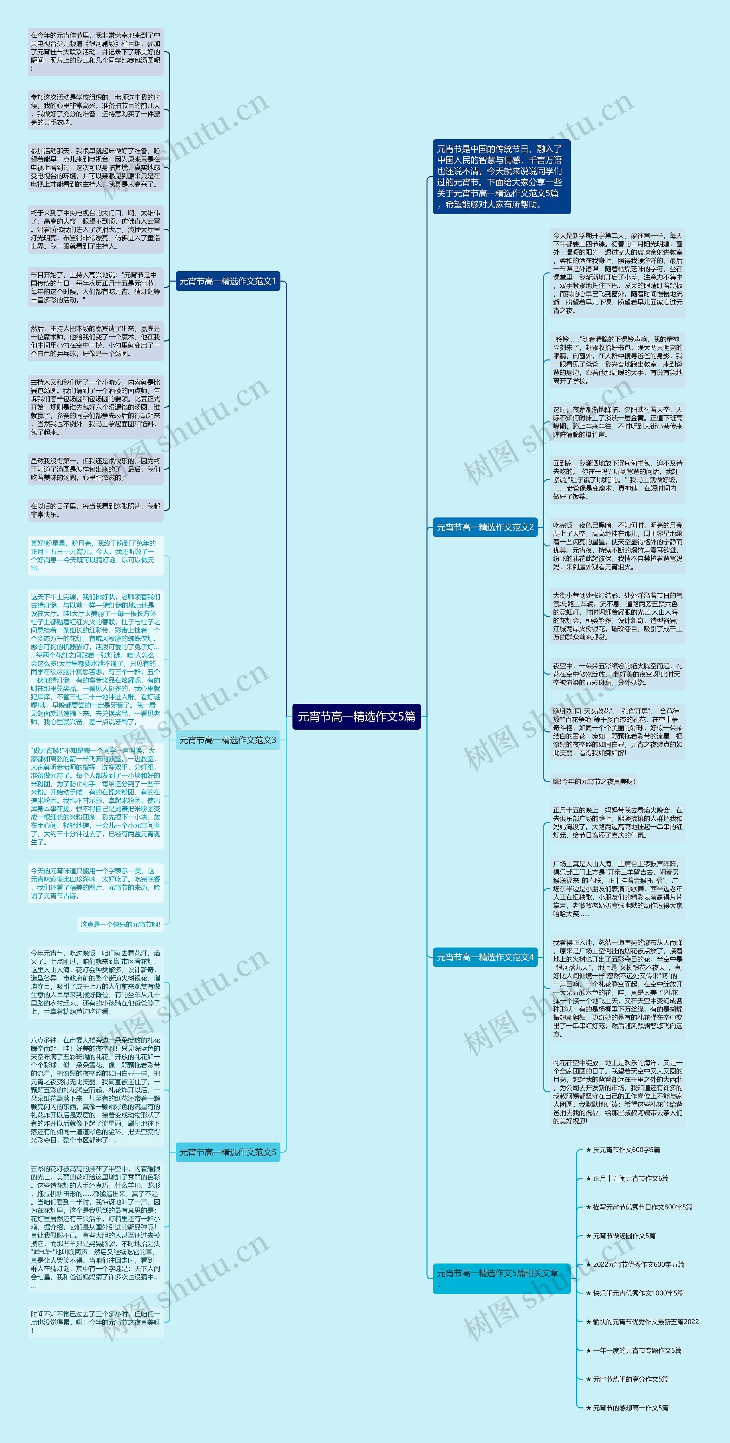 元宵节高一精选作文5篇思维导图