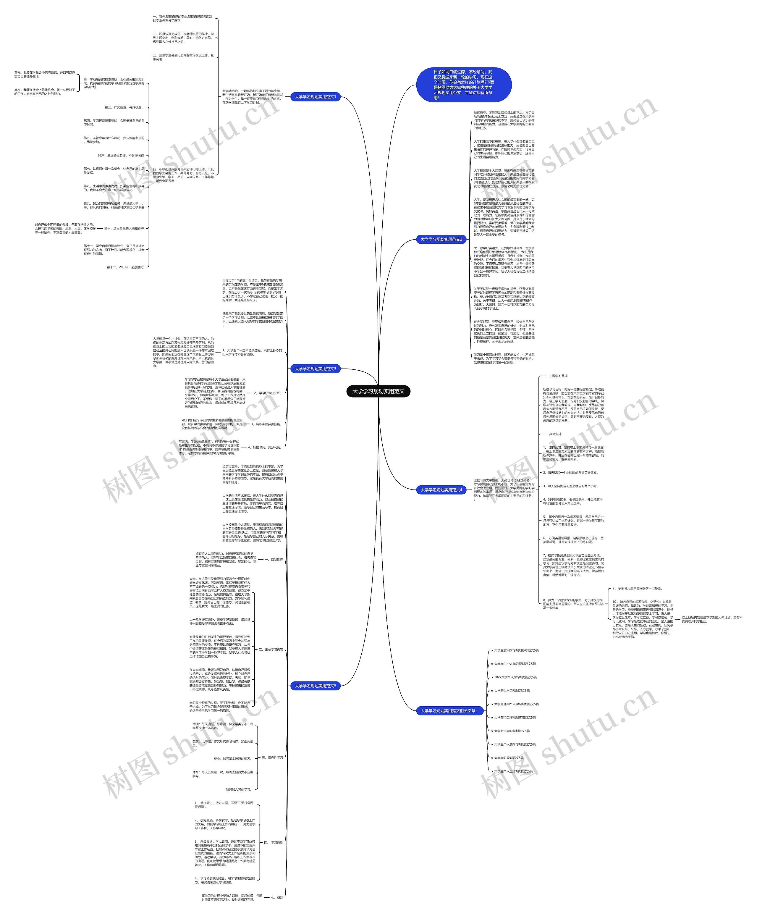 大学学习规划实用范文思维导图
