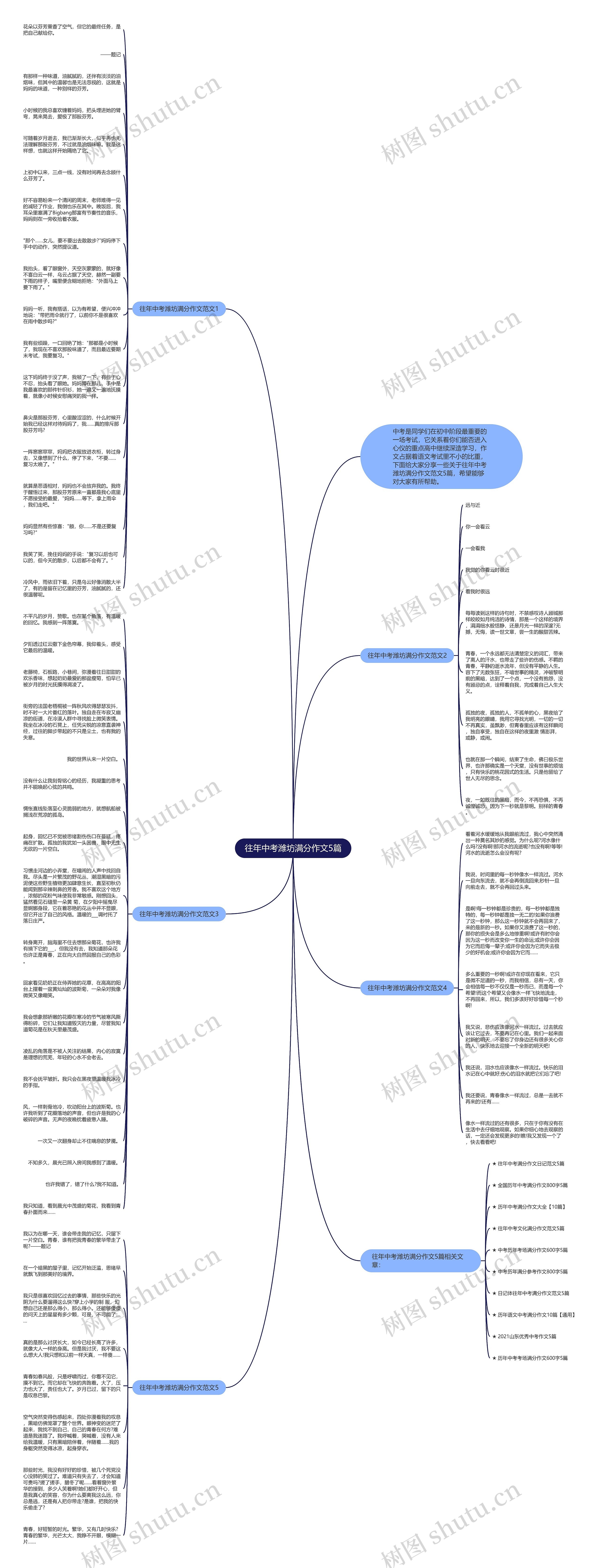 往年中考潍坊满分作文5篇思维导图