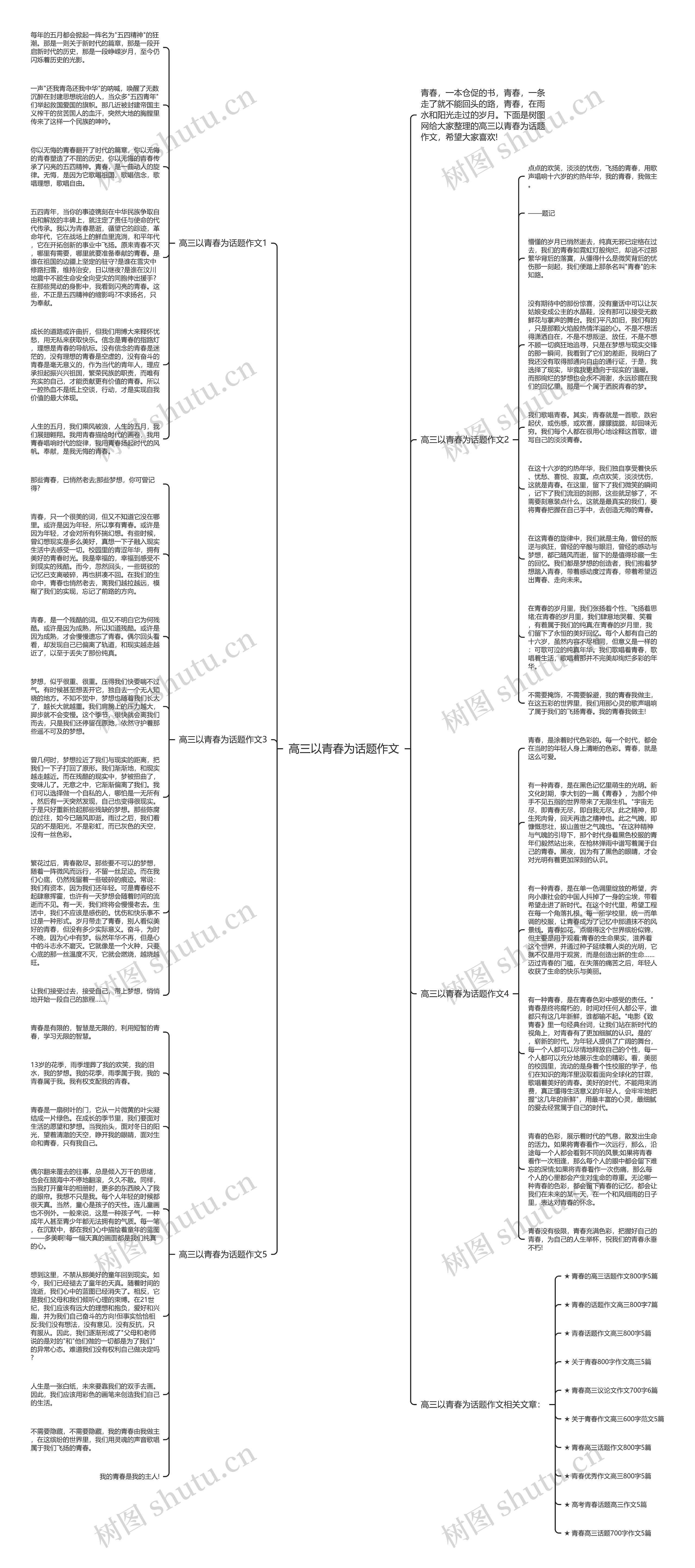 高三以青春为话题作文思维导图