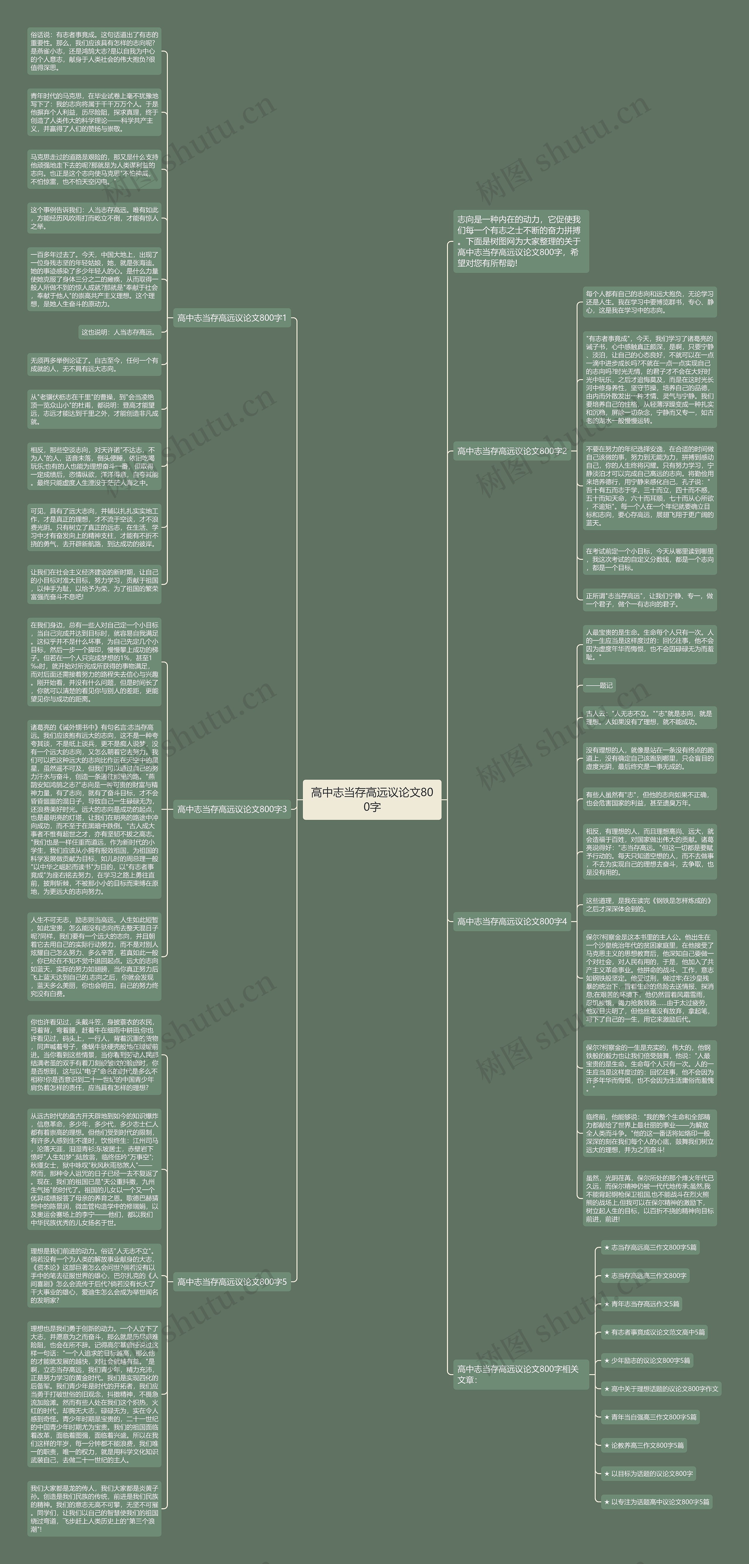 高中志当存高远议论文800字思维导图