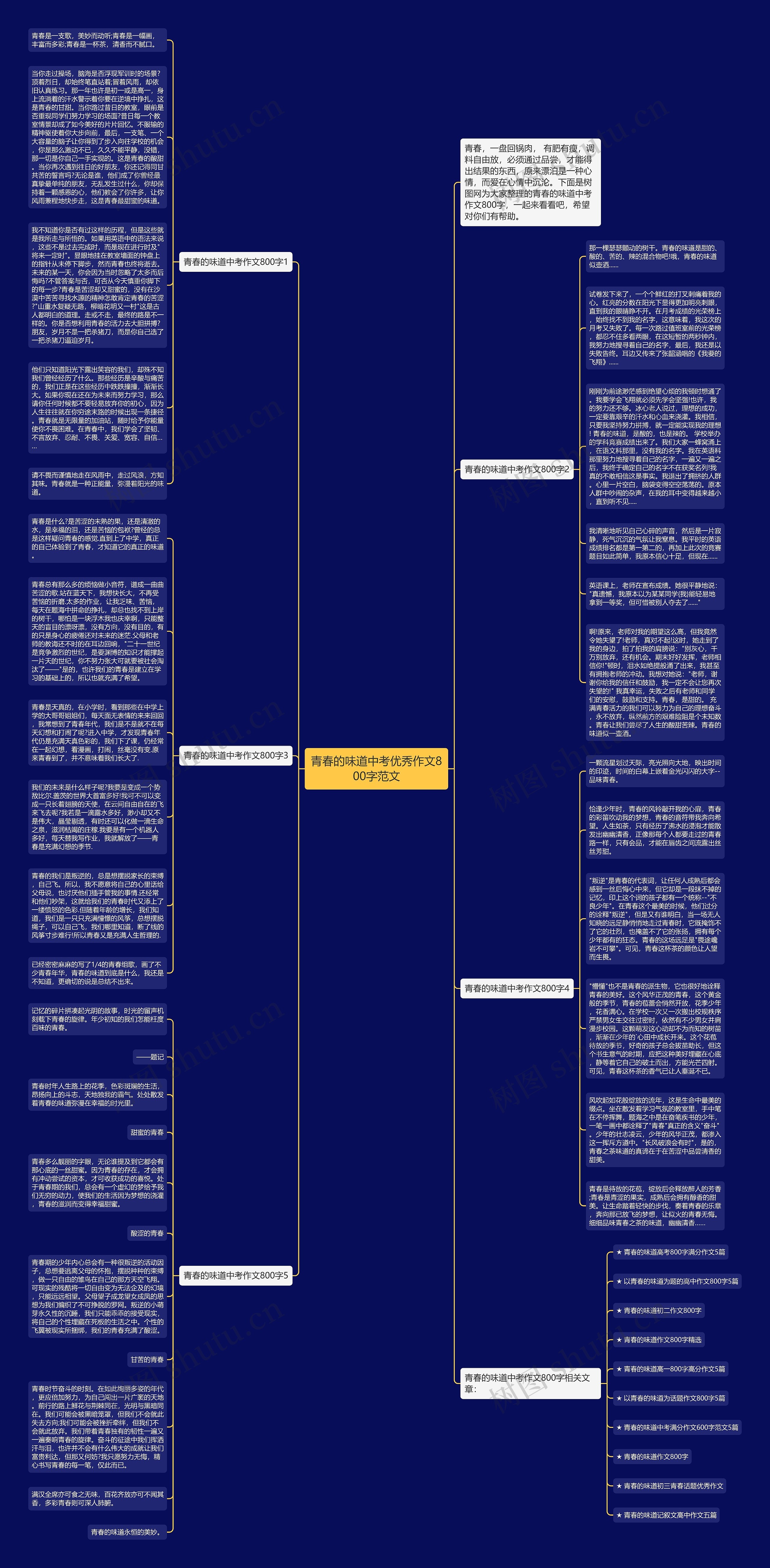 青春的味道中考优秀作文800字范文思维导图