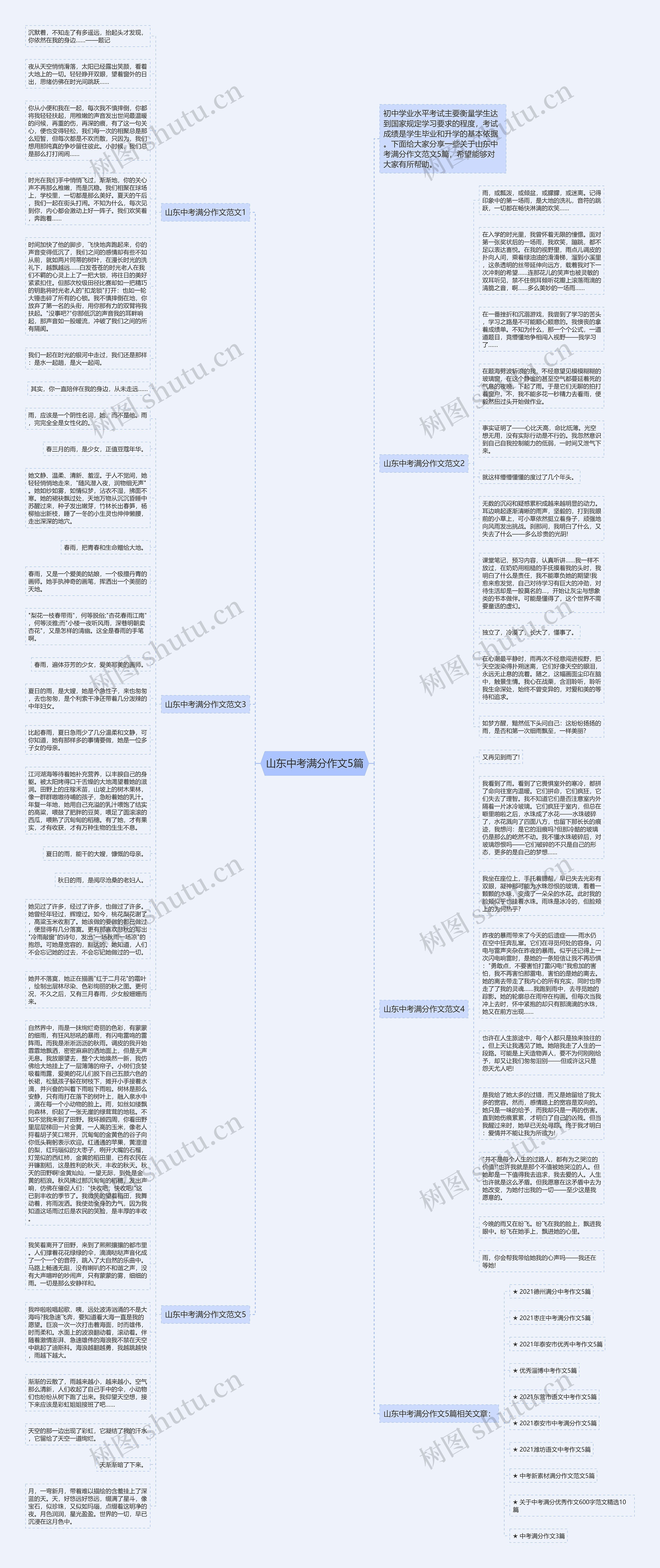 山东中考满分作文5篇思维导图
