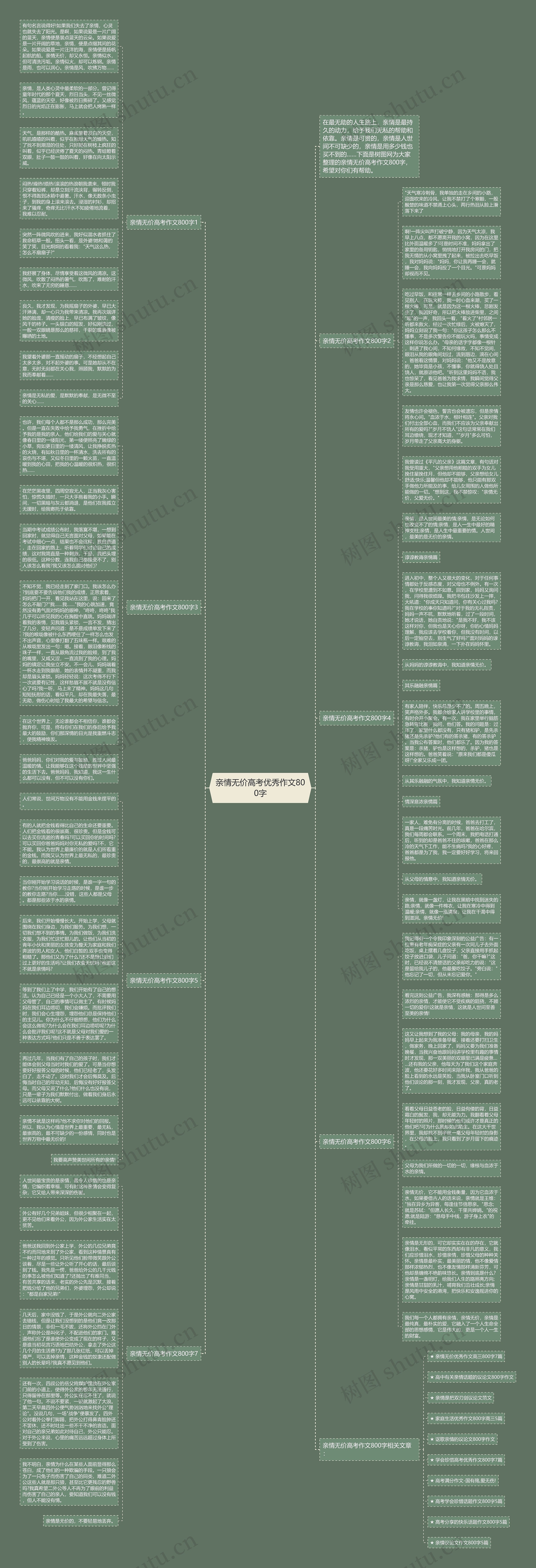 亲情无价高考优秀作文800字思维导图
