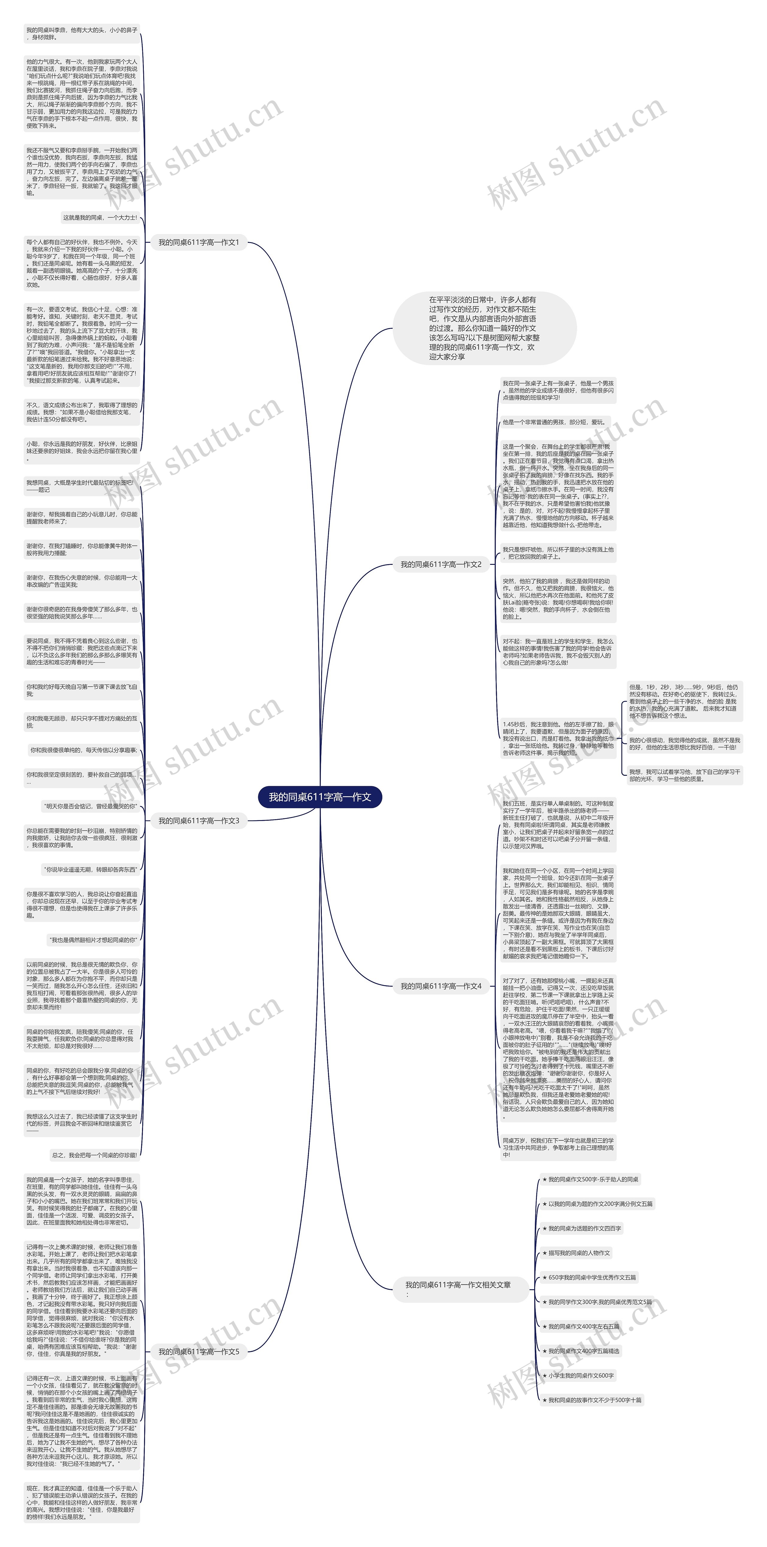 我的同桌611字高一作文思维导图
