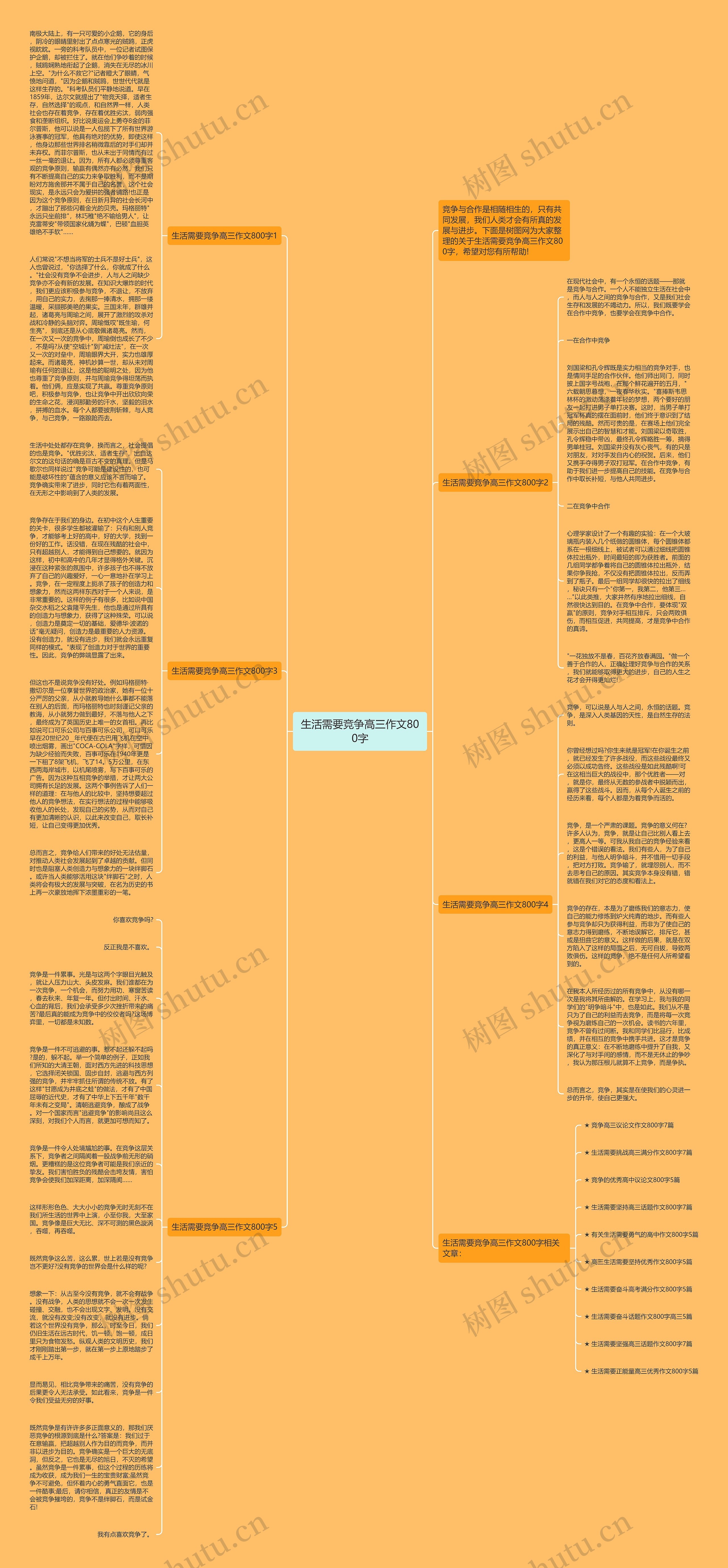 生活需要竞争高三作文800字