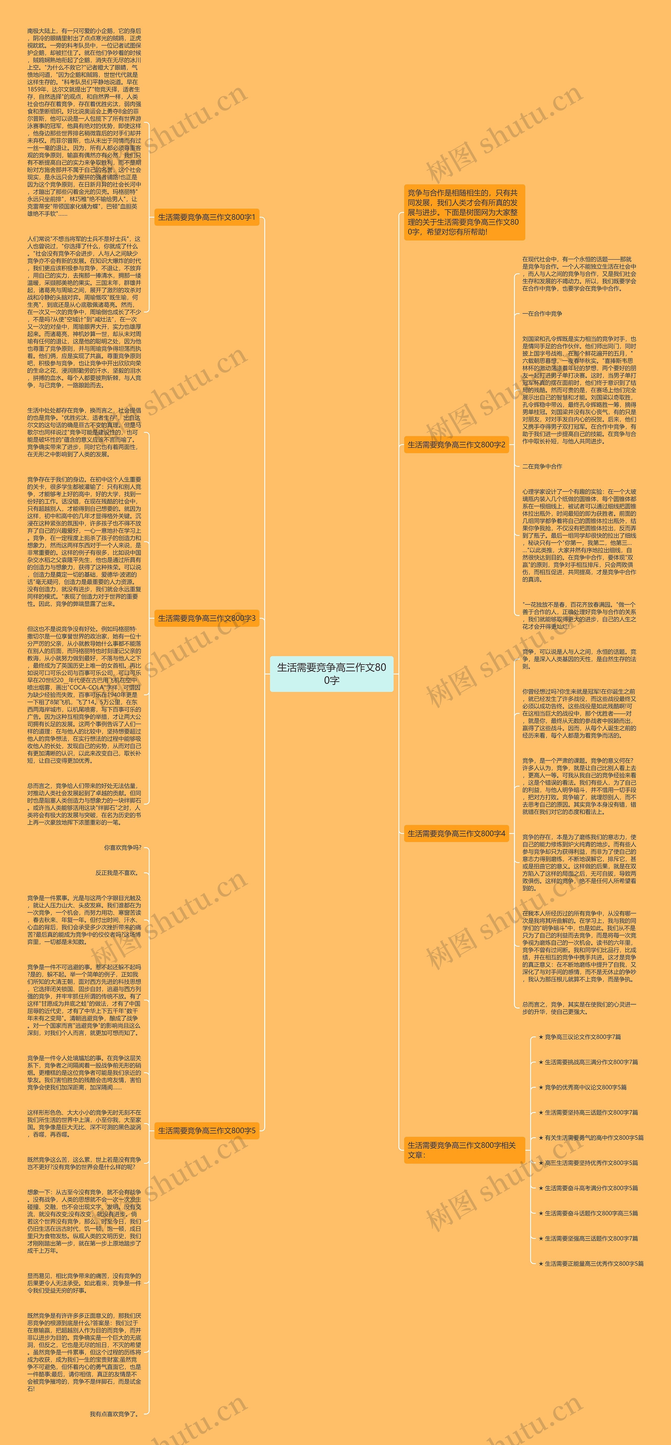 生活需要竞争高三作文800字思维导图高清图 生活需要竞争高三作文800字思维导图