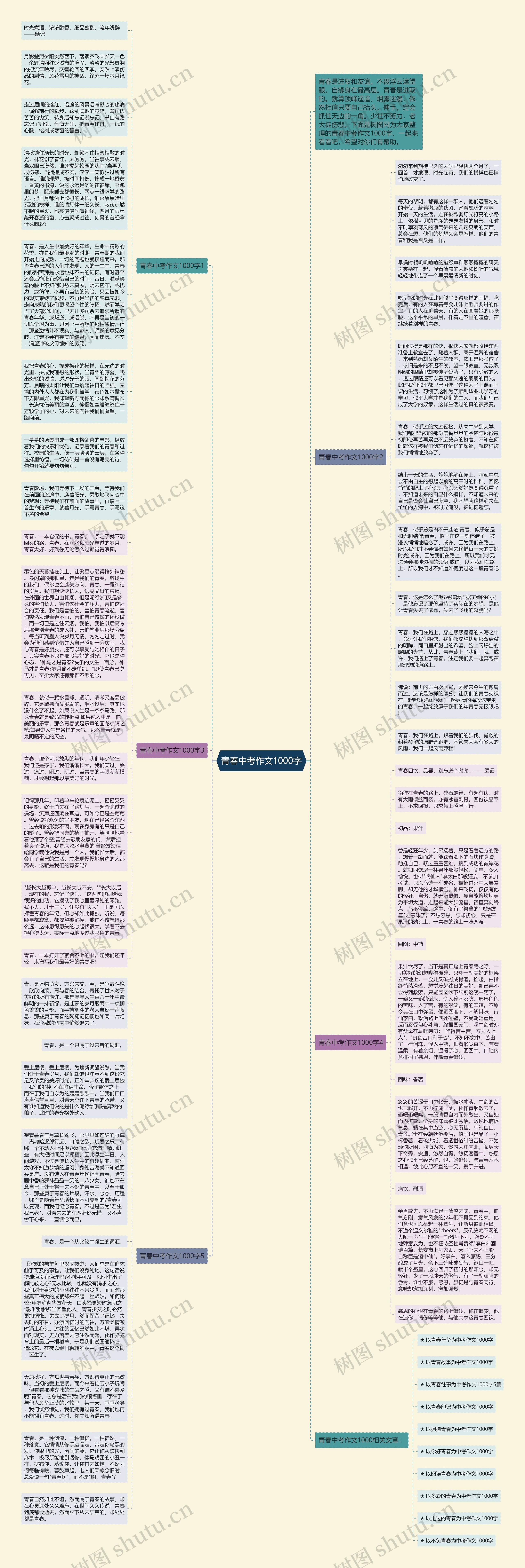 青春中考作文1000字思维导图