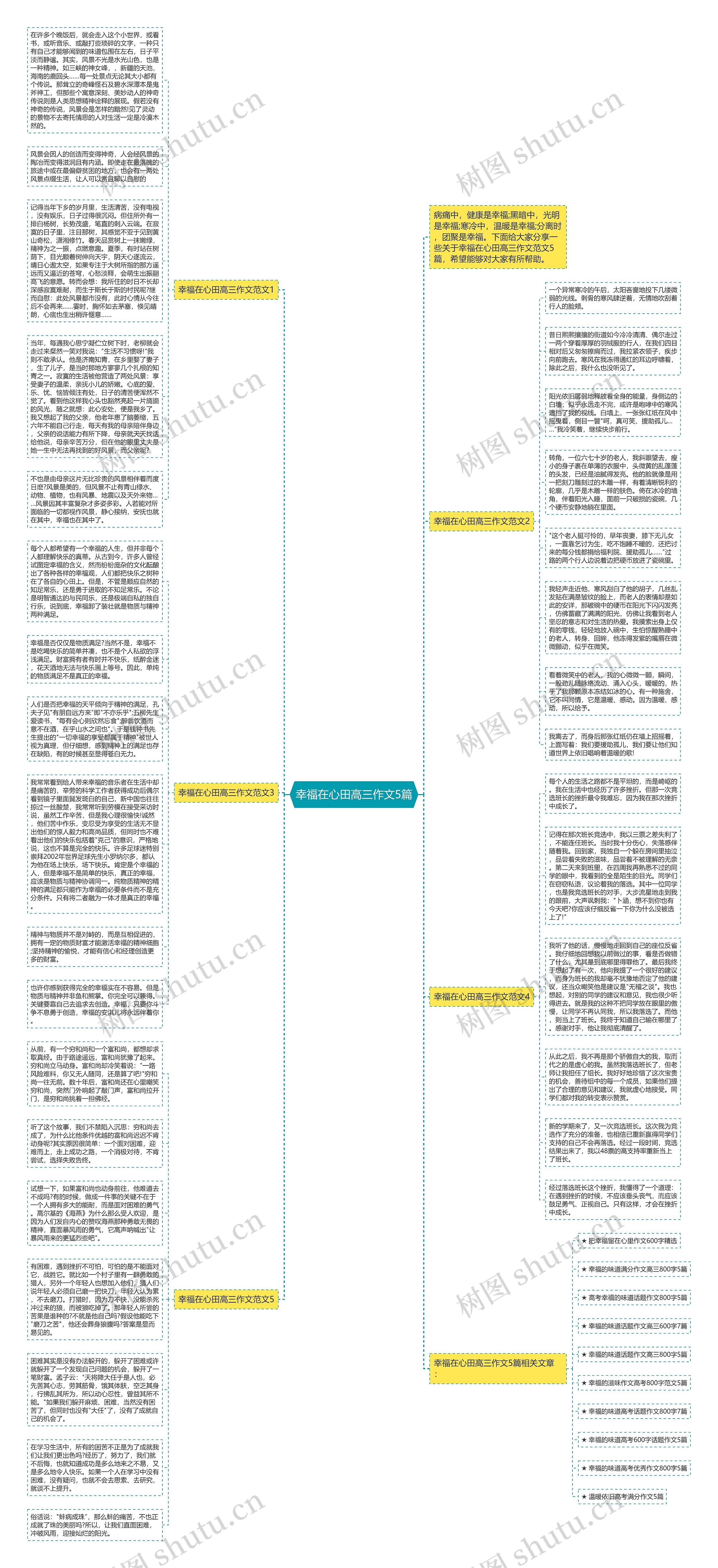 幸福在心田高三作文5篇思维导图