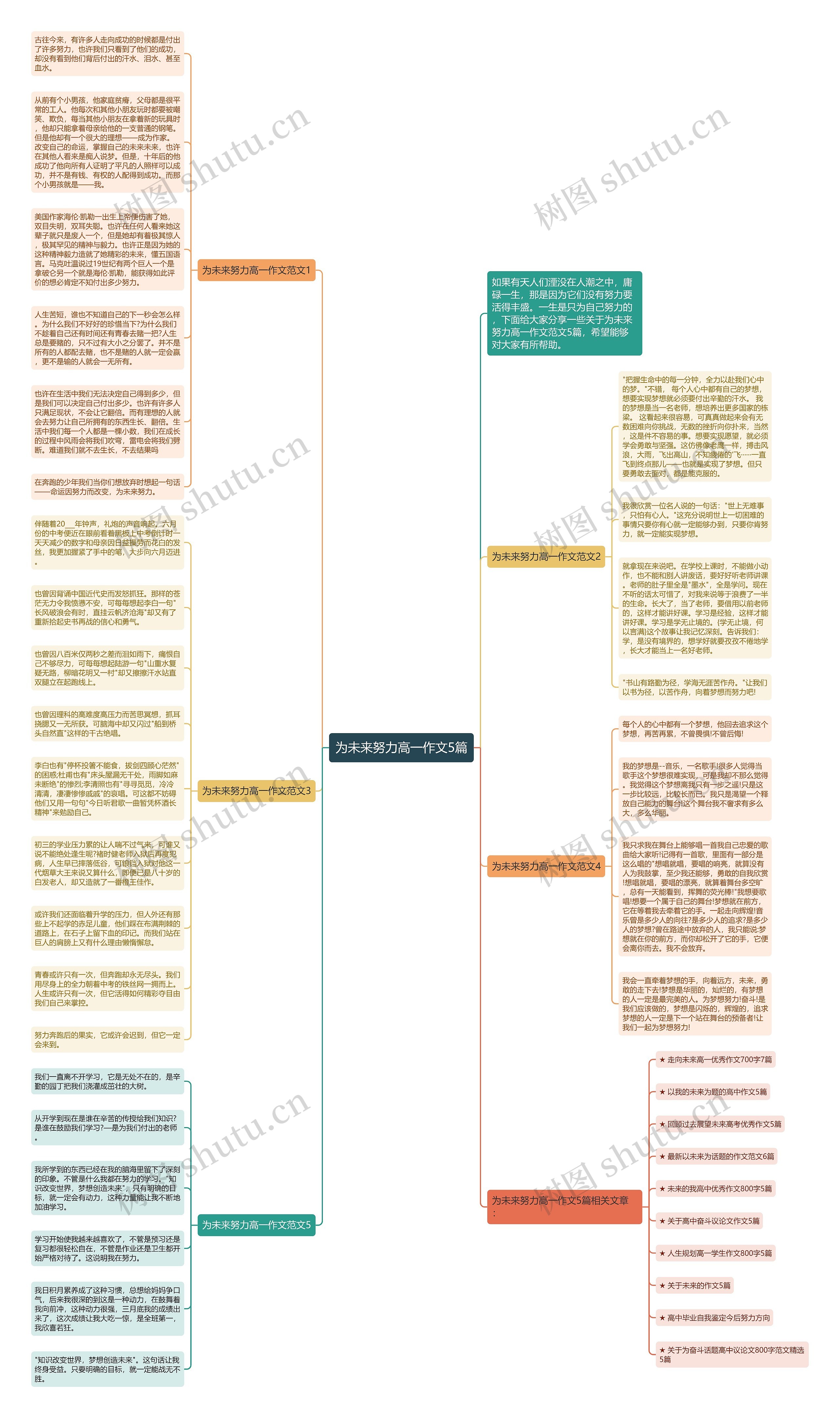 为未来努力高一作文5篇思维导图