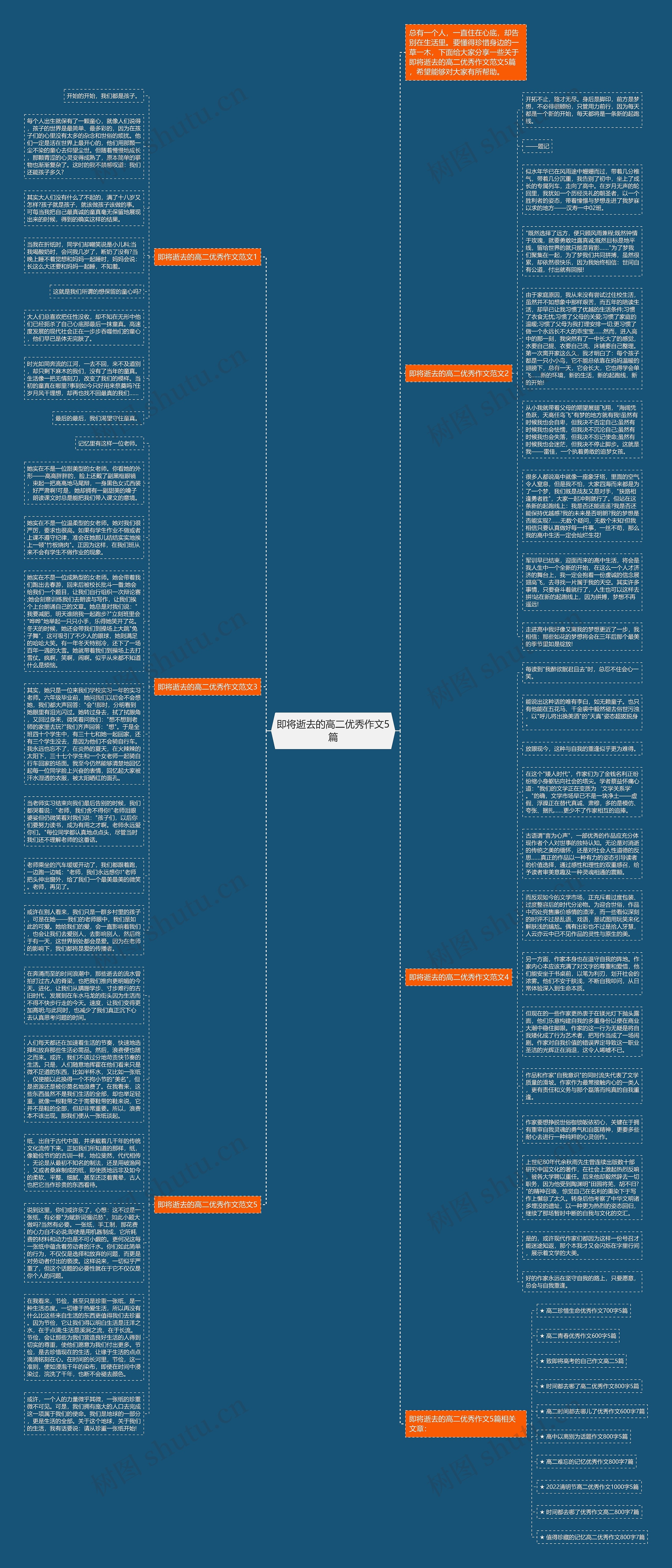 即将逝去的高二优秀作文5篇思维导图