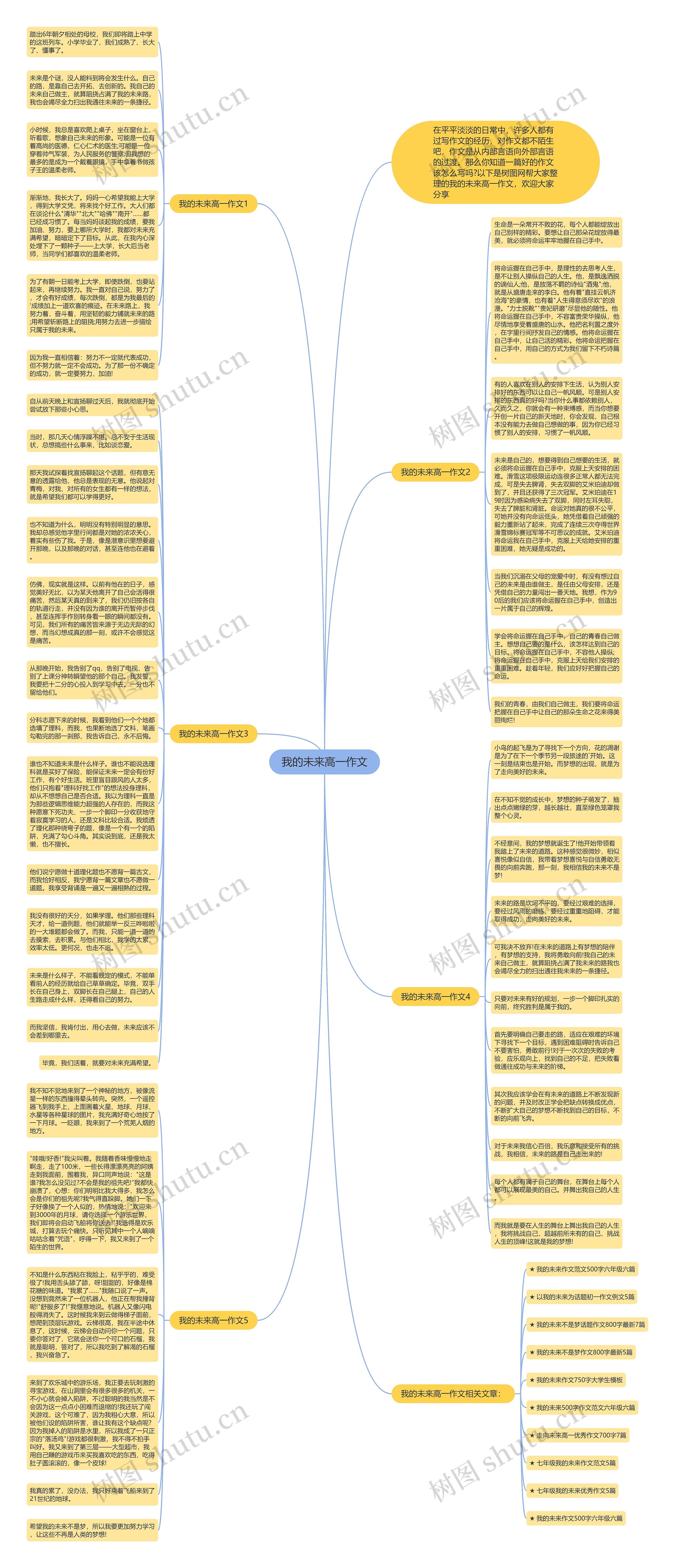 我的未来高一作文思维导图