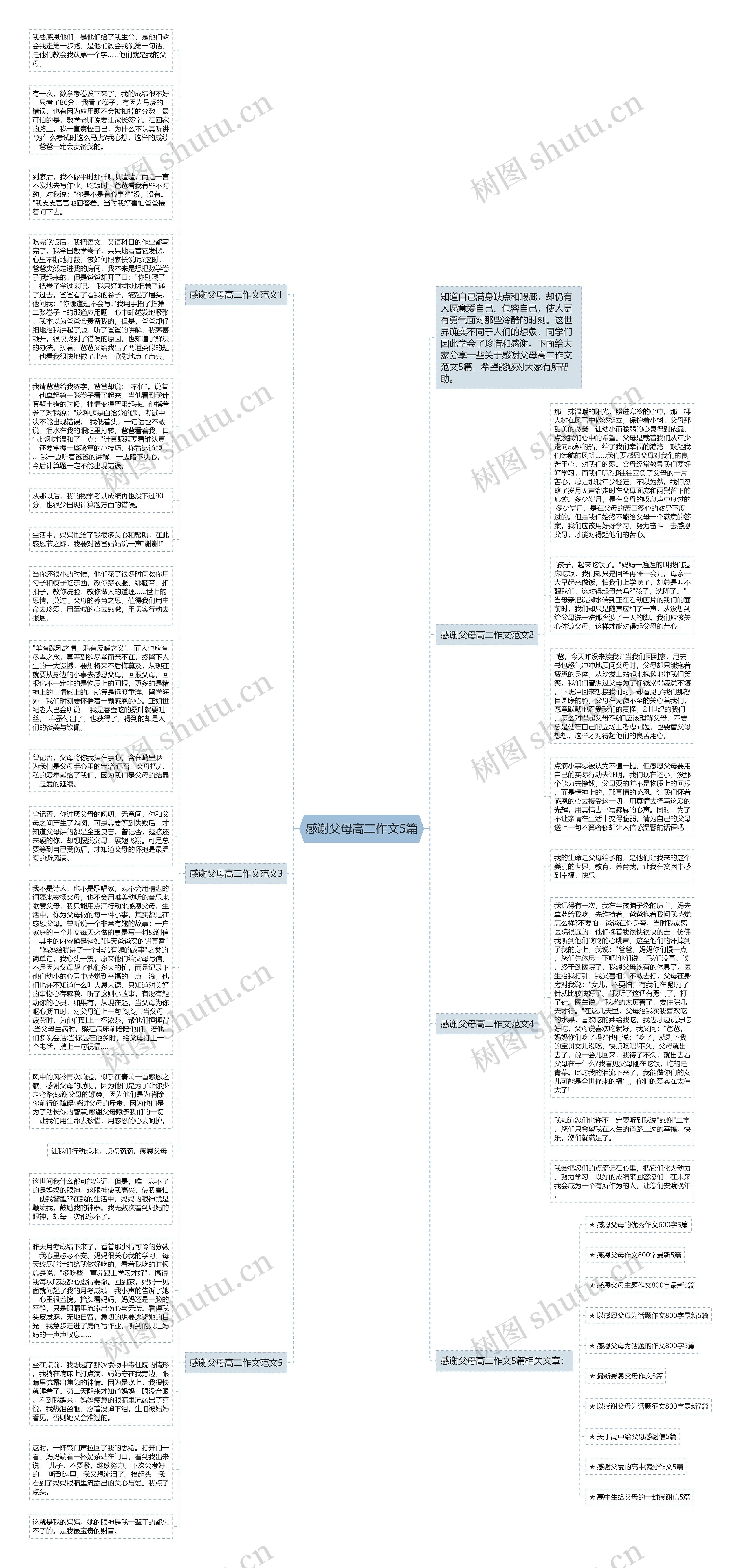 感谢父母高二作文5篇思维导图