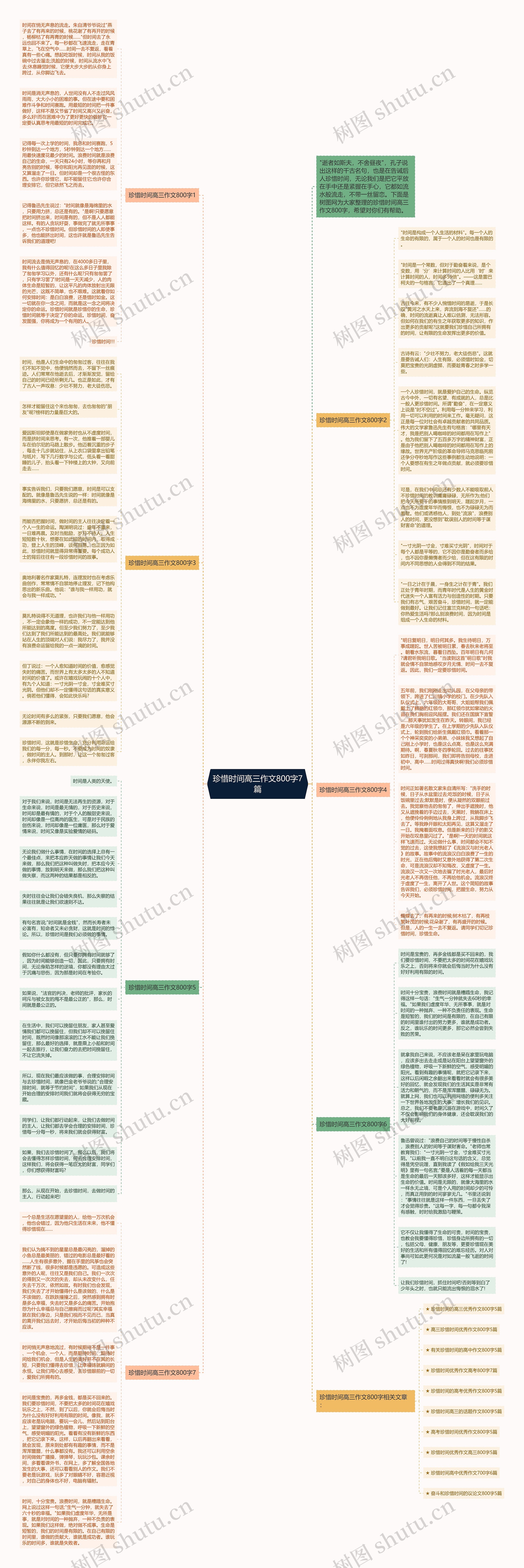 珍惜时间高三作文800字7篇思维导图