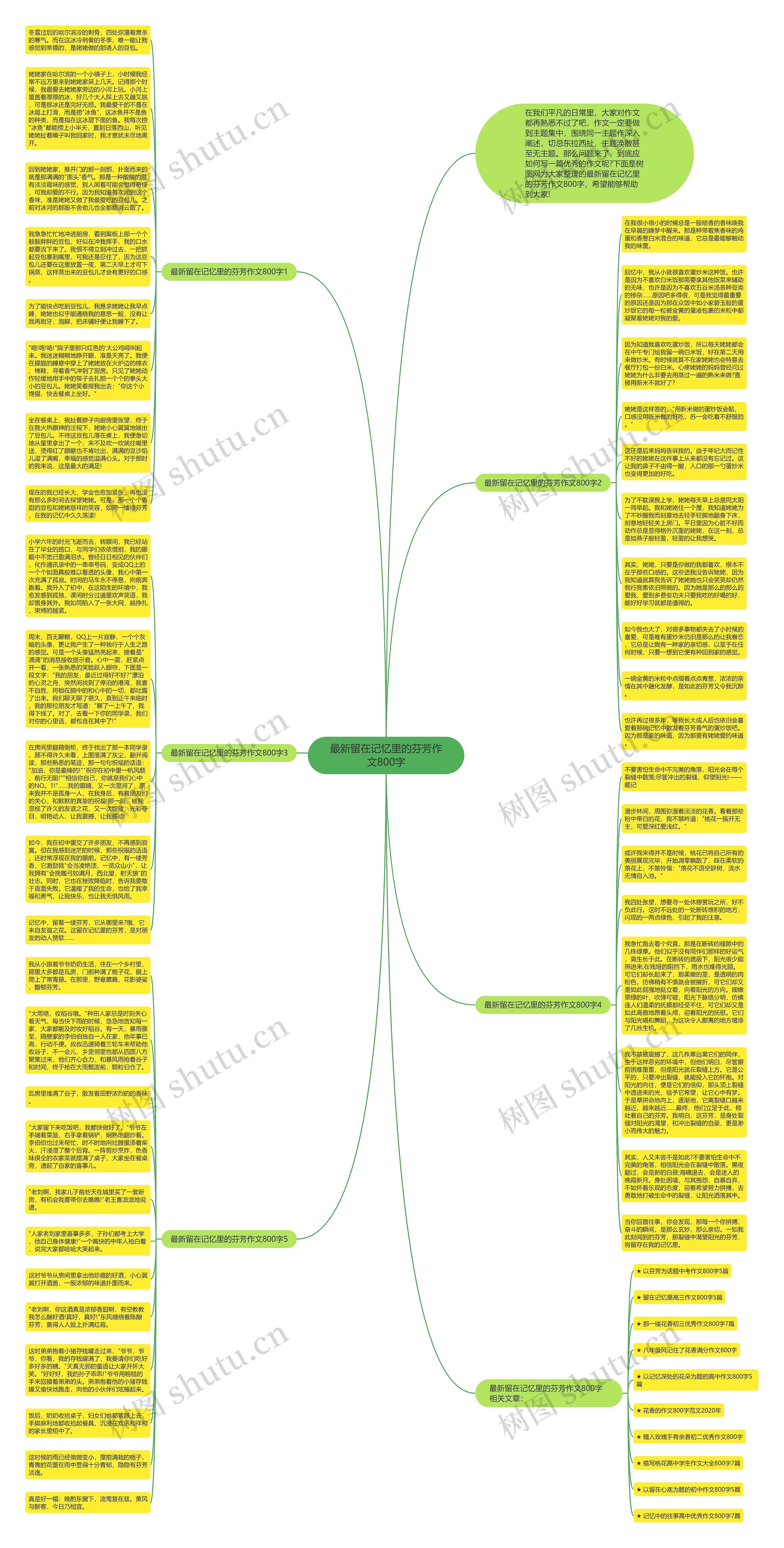 最新留在记忆里的芬芳作文800字思维导图