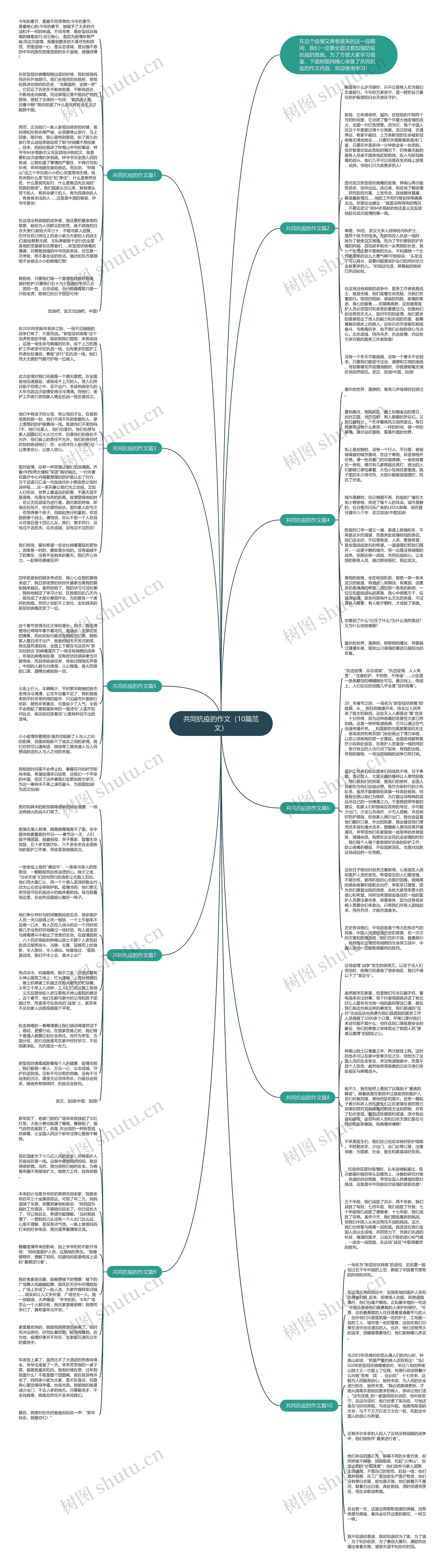 共同抗疫的作文（10篇范文）思维导图