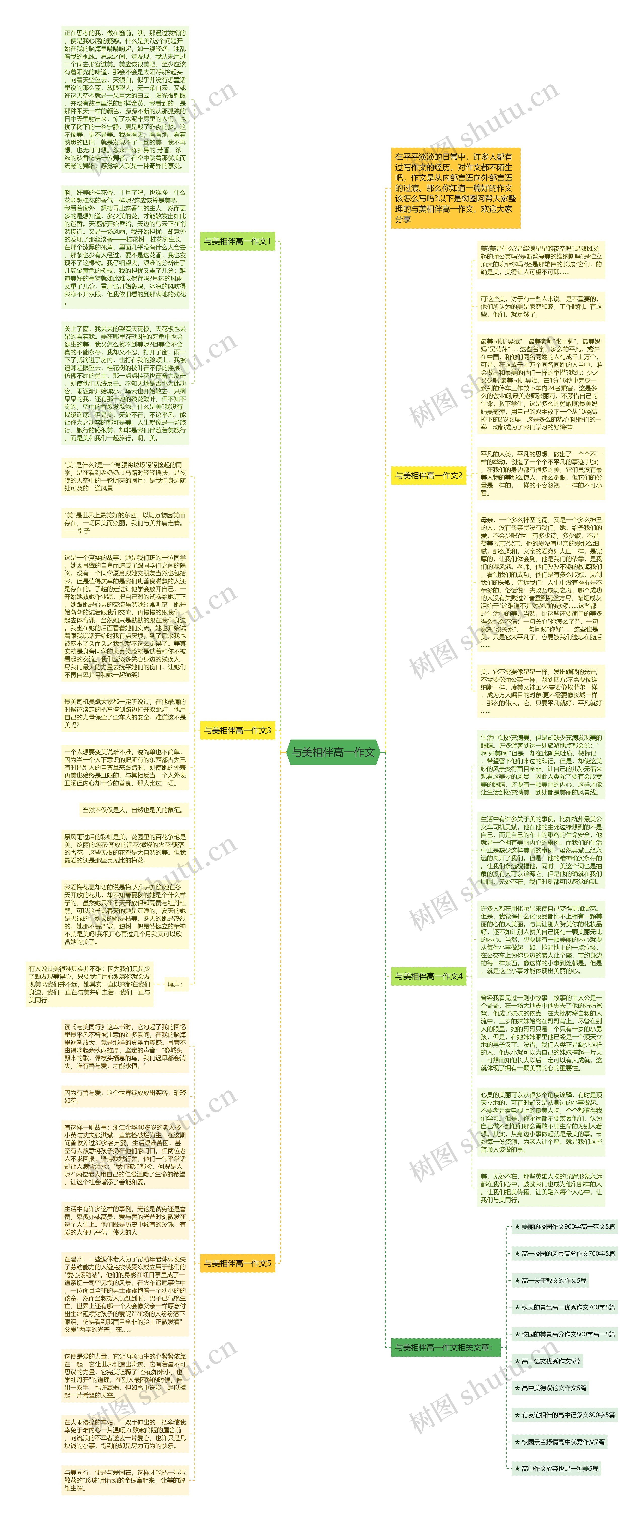 与美相伴高一作文思维导图