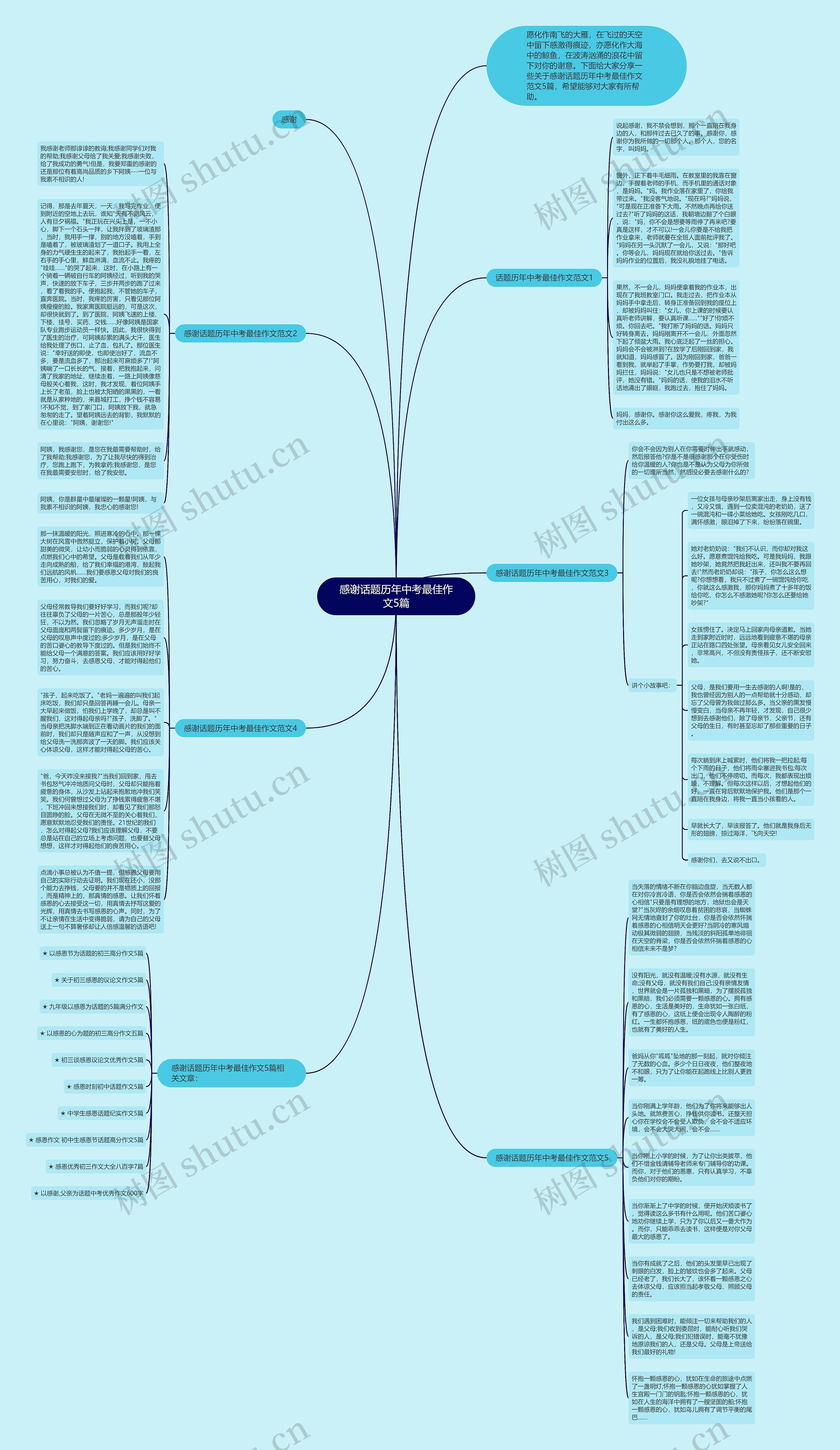 感谢话题历年中考最佳作文5篇思维导图