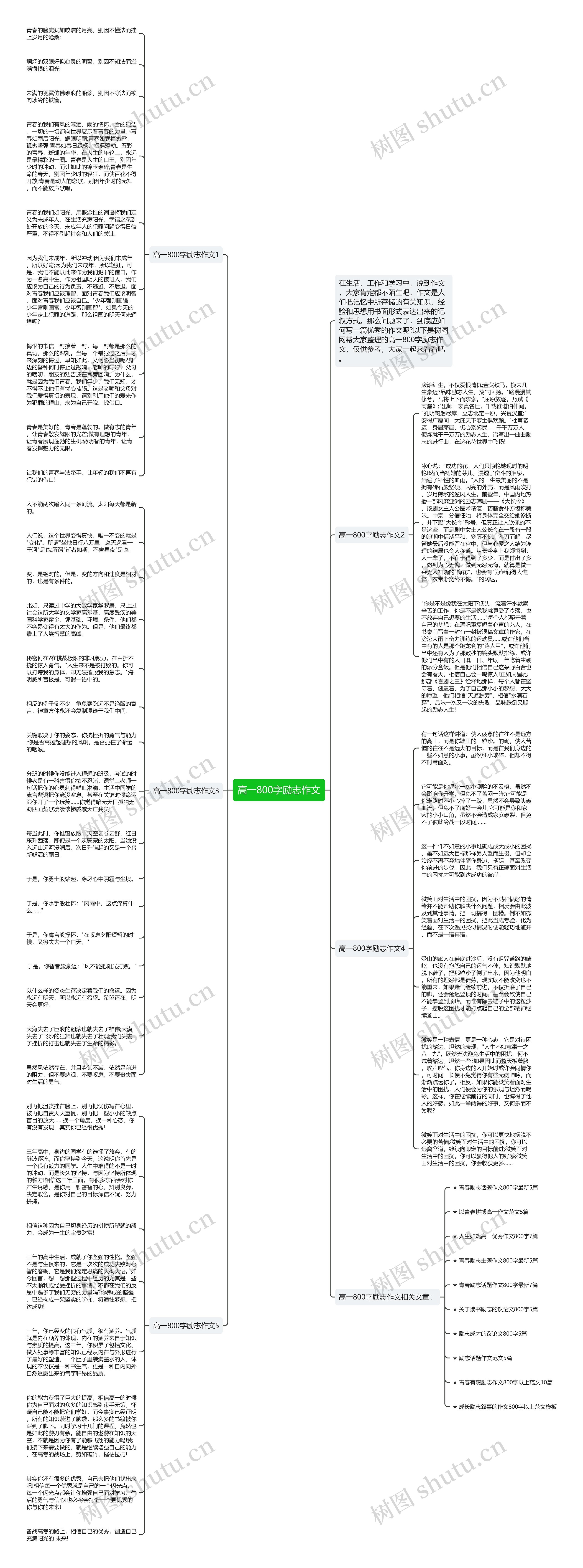 高一800字励志作文思维导图