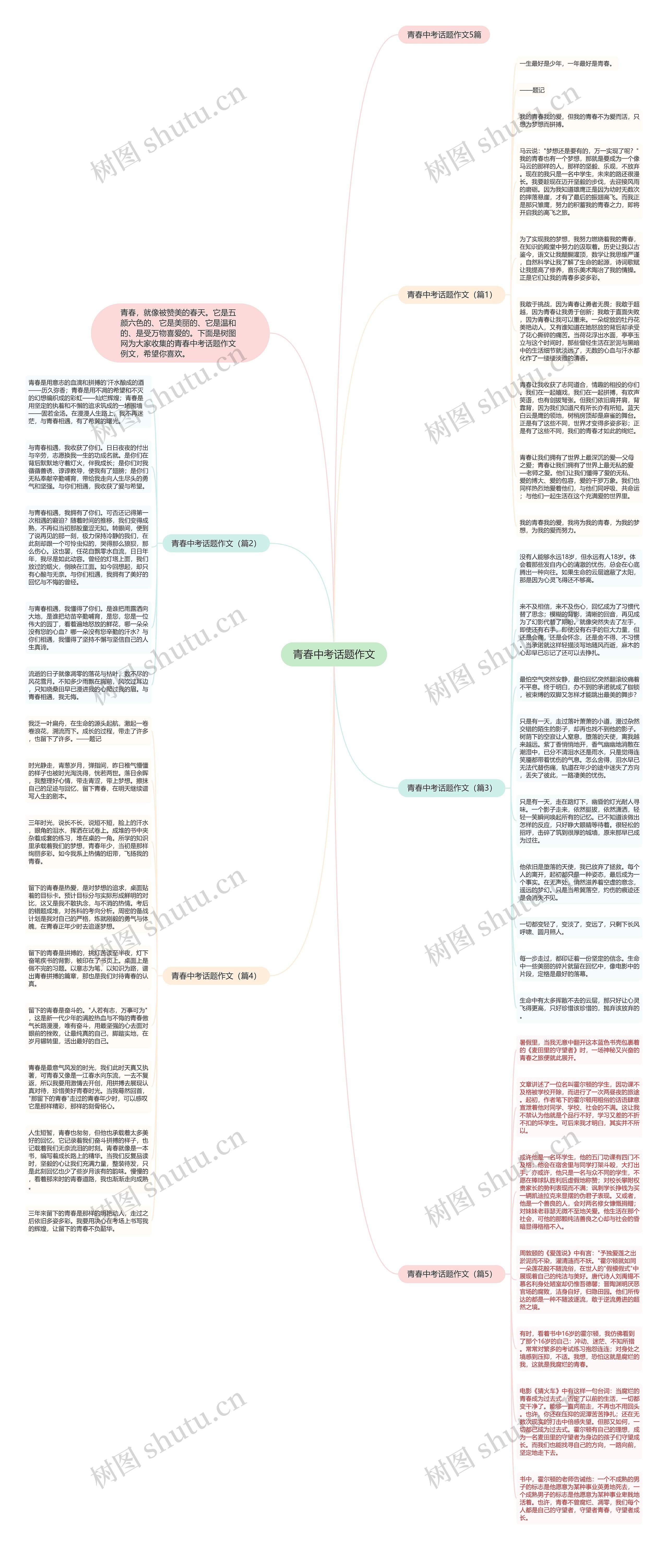 青春中考话题作文思维导图
