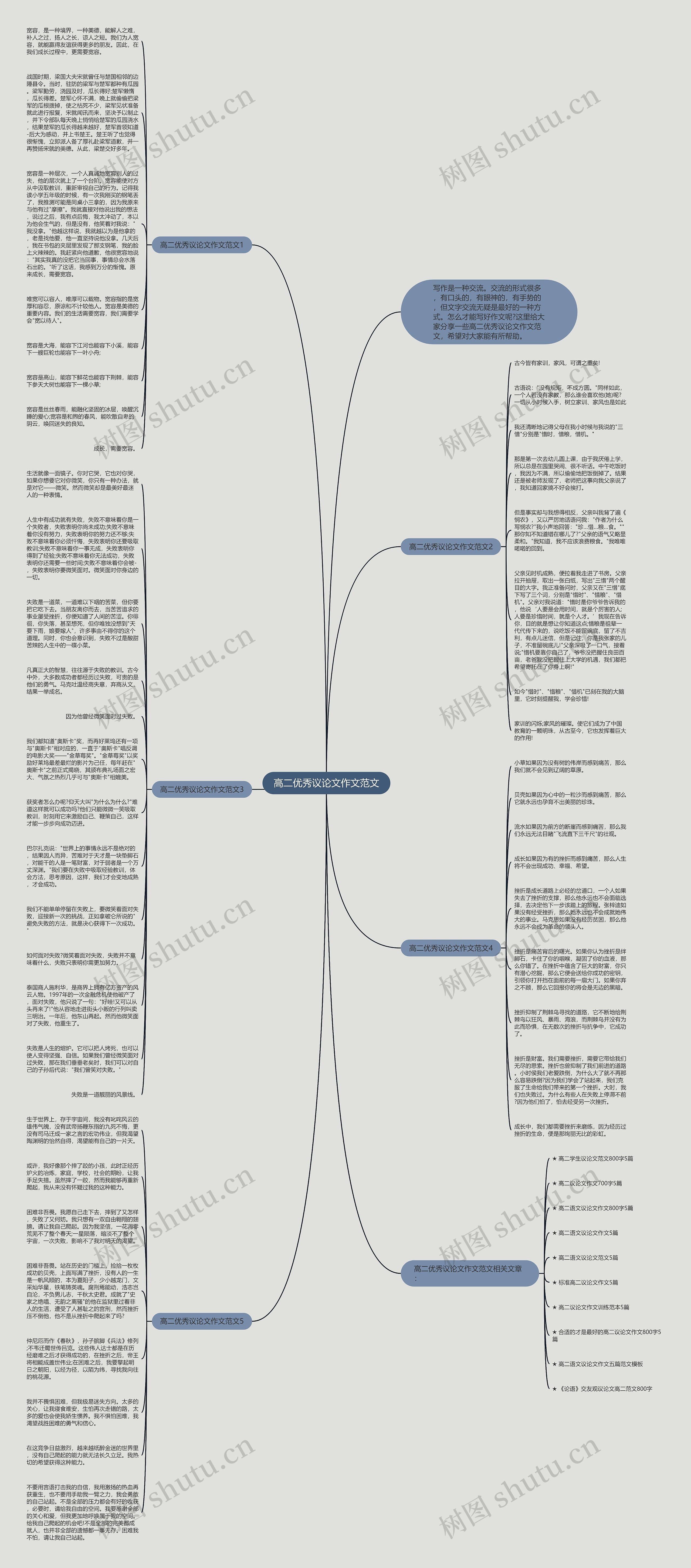 高二优秀议论文作文范文思维导图