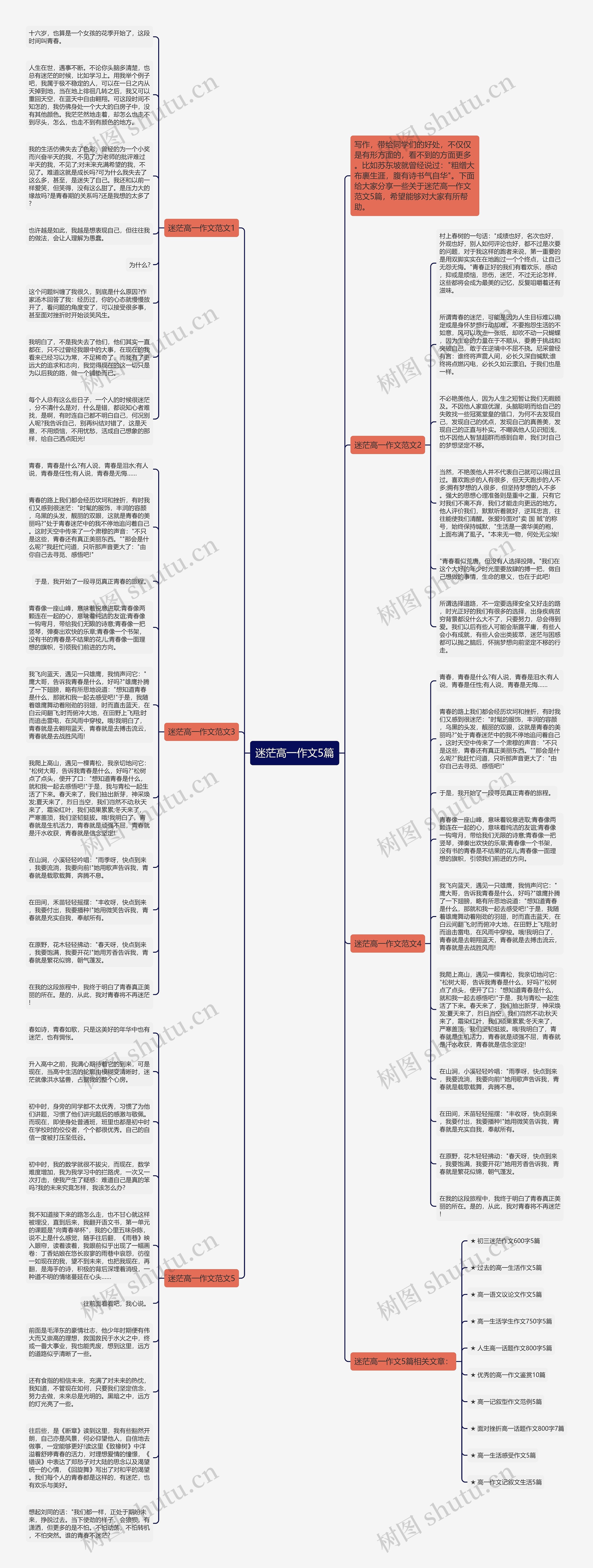 迷茫高一作文5篇思维导图