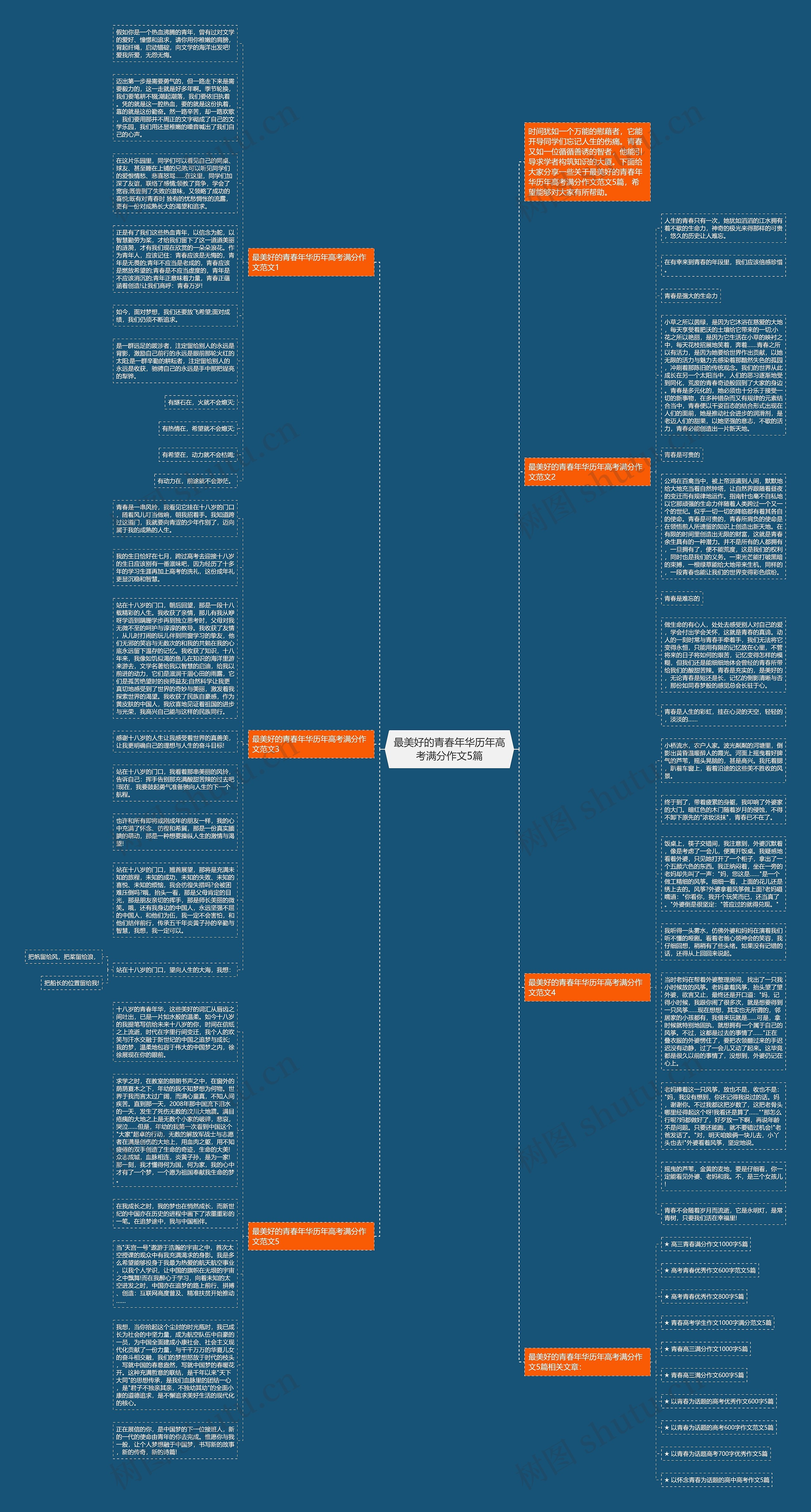 最美好的青春年华历年高考满分作文5篇思维导图