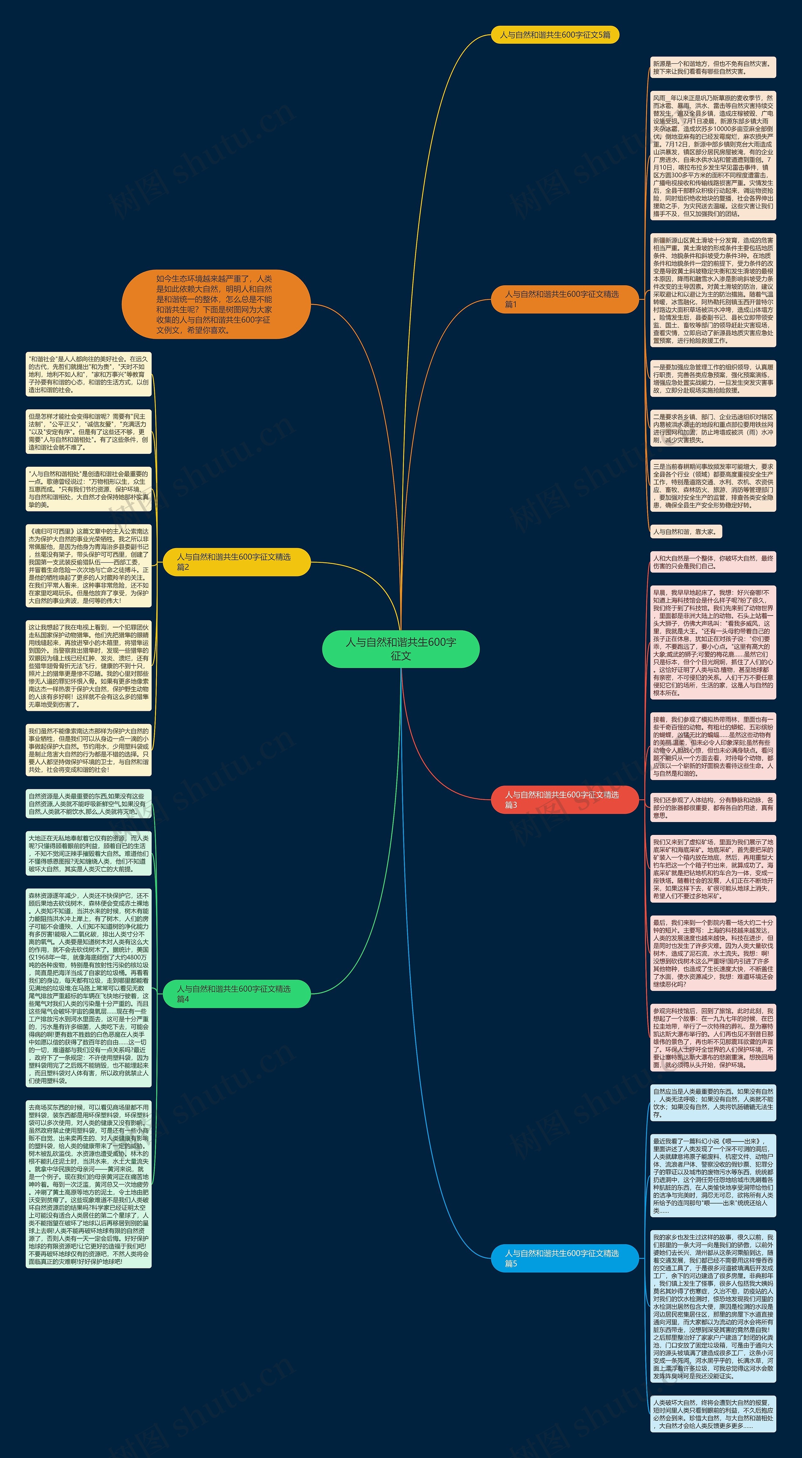 人与自然和谐共生600字征文思维导图