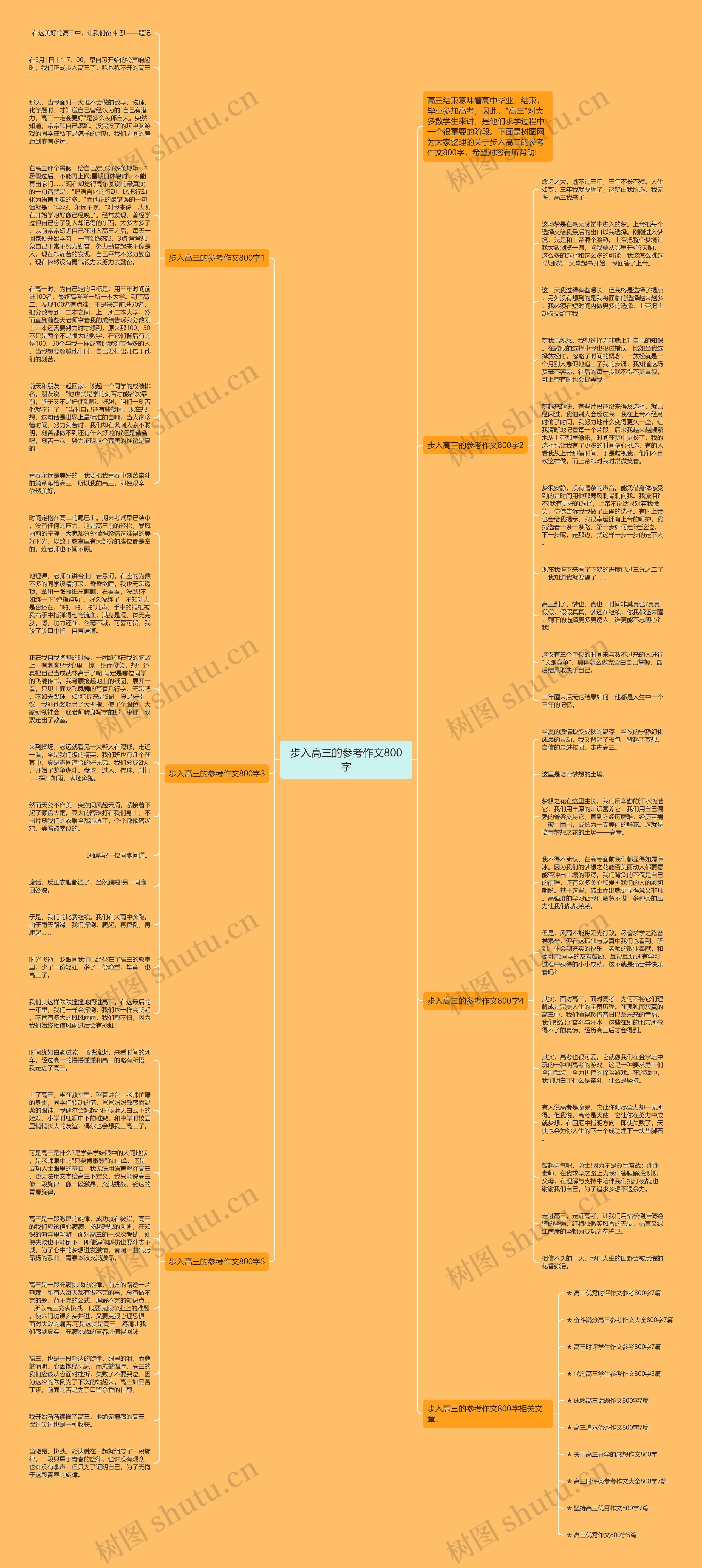 步入高三的参考作文800字