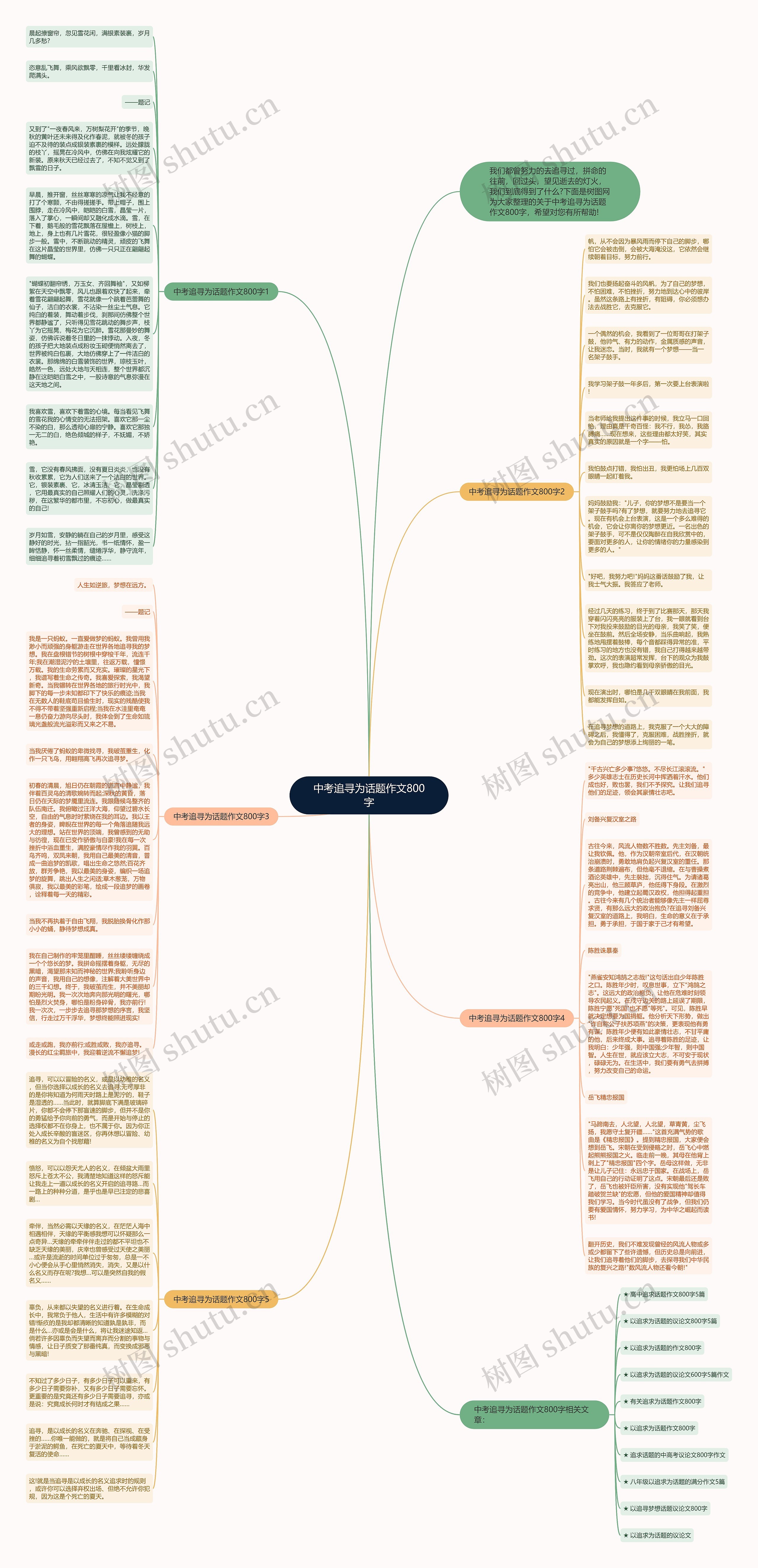 中考追寻为话题作文800字思维导图