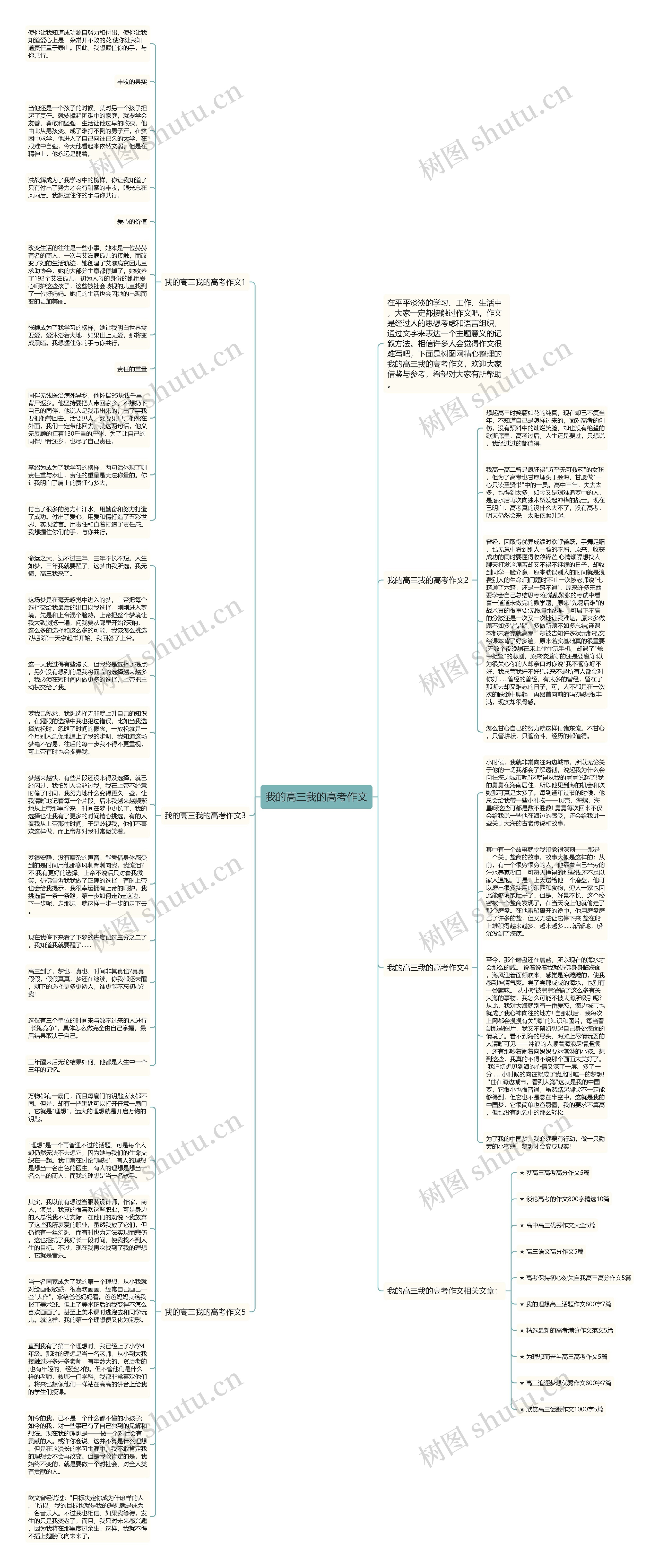 我的高三我的高考作文思维导图高清图 我的高三我的高考作文思维导图
