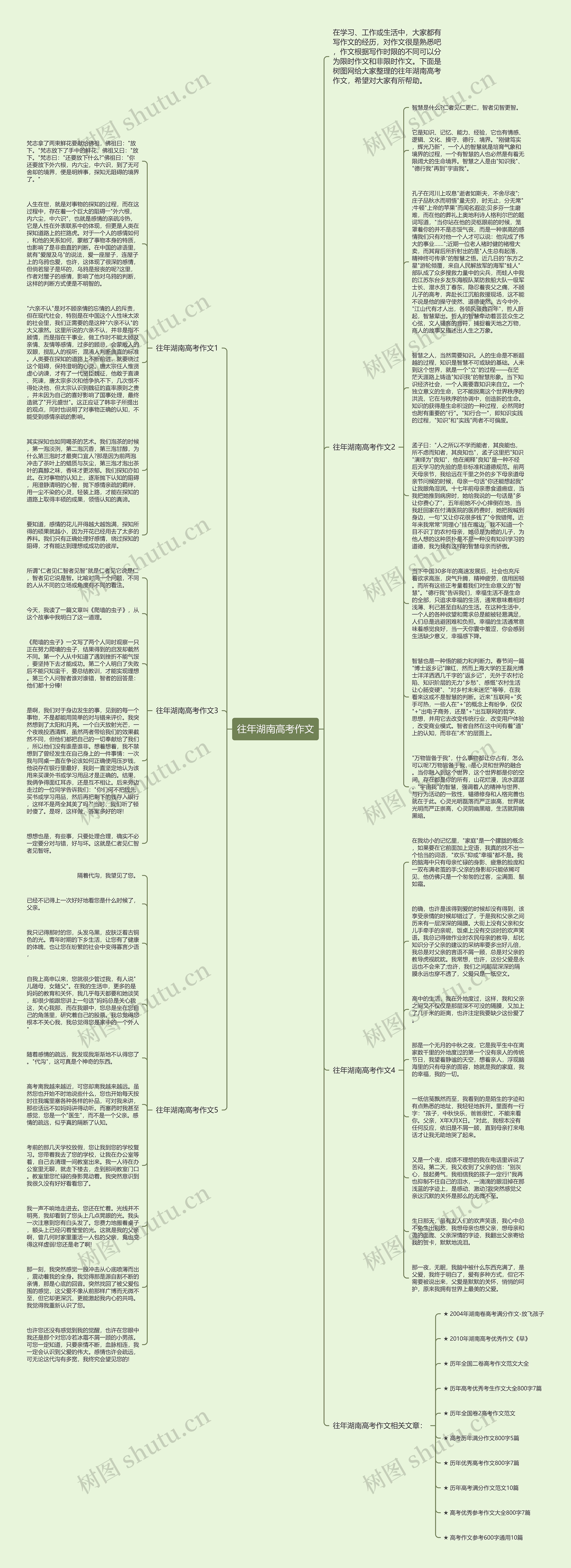 往年湖南高考作文思维导图